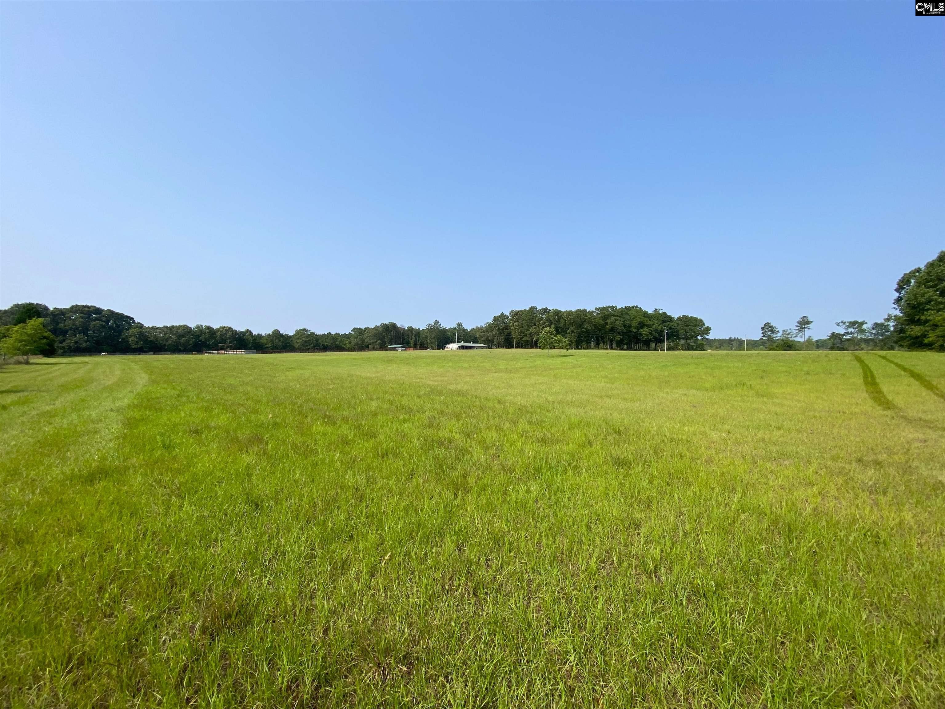 290 Gunter Pond Road, Wagener, South Carolina image 39
