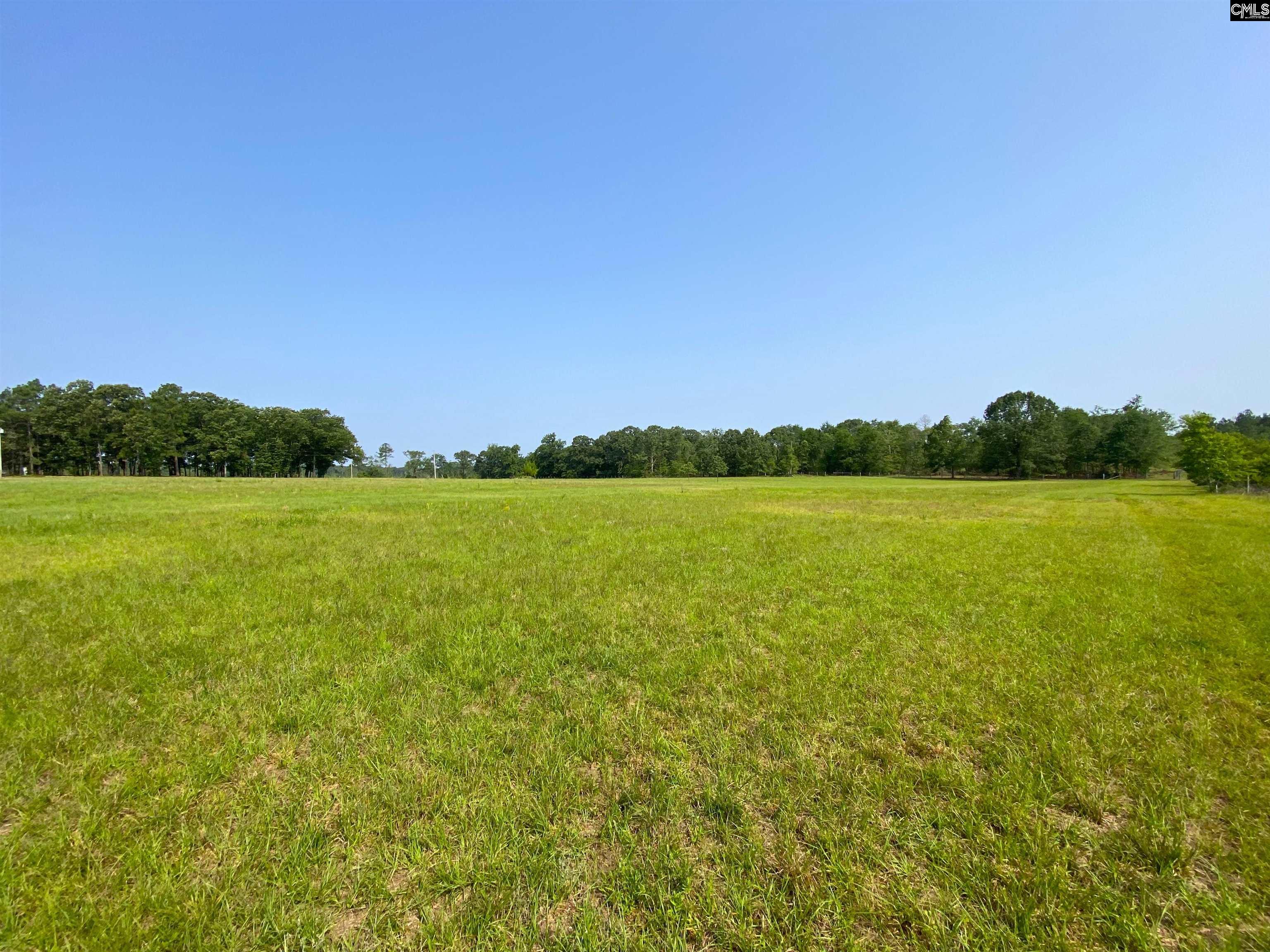 290 Gunter Pond Road, Wagener, South Carolina image 40
