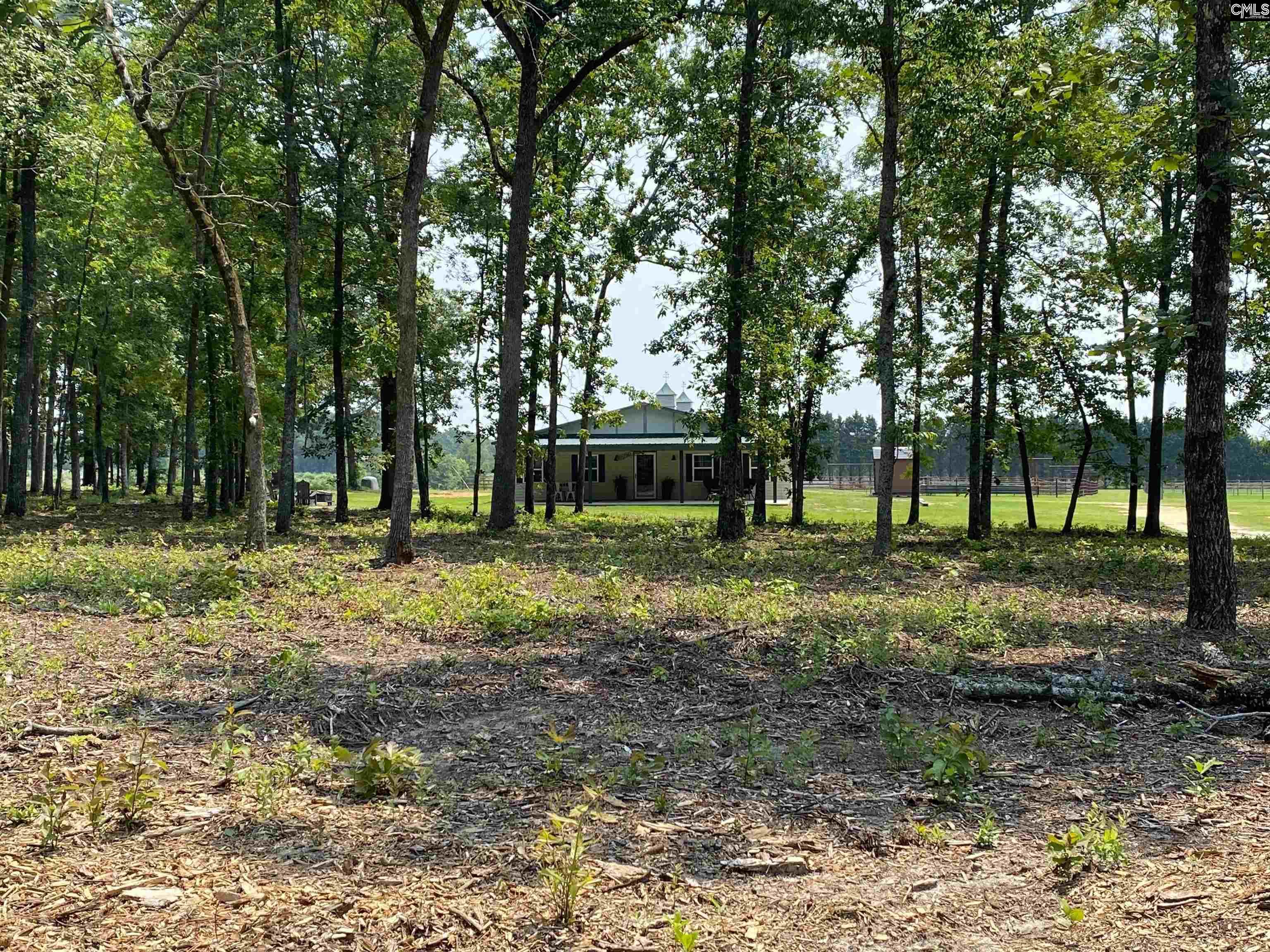 290 Gunter Pond Road, Wagener, South Carolina image 44