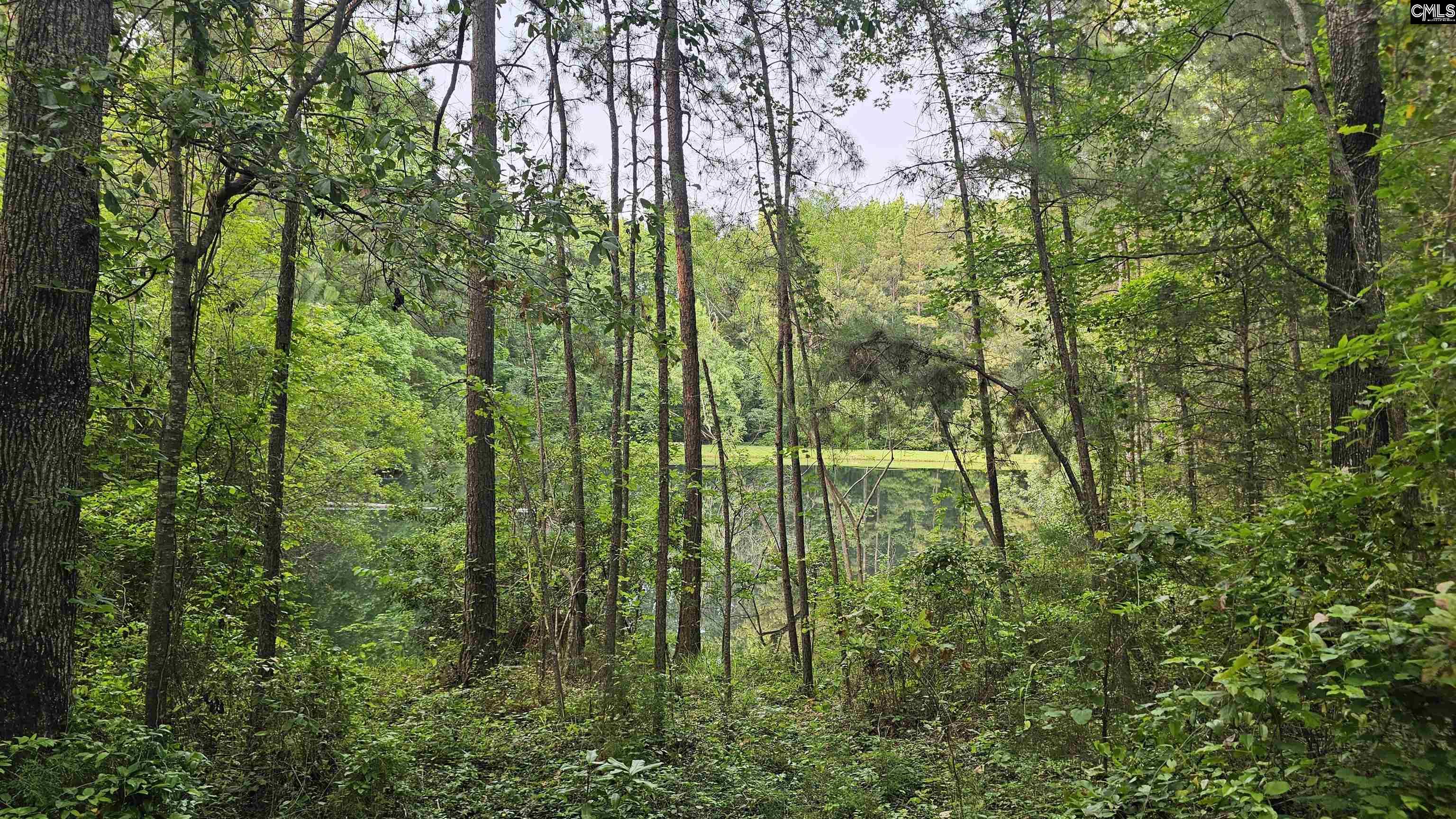 310 Andrew Corley Road Lexington, SC 29072
