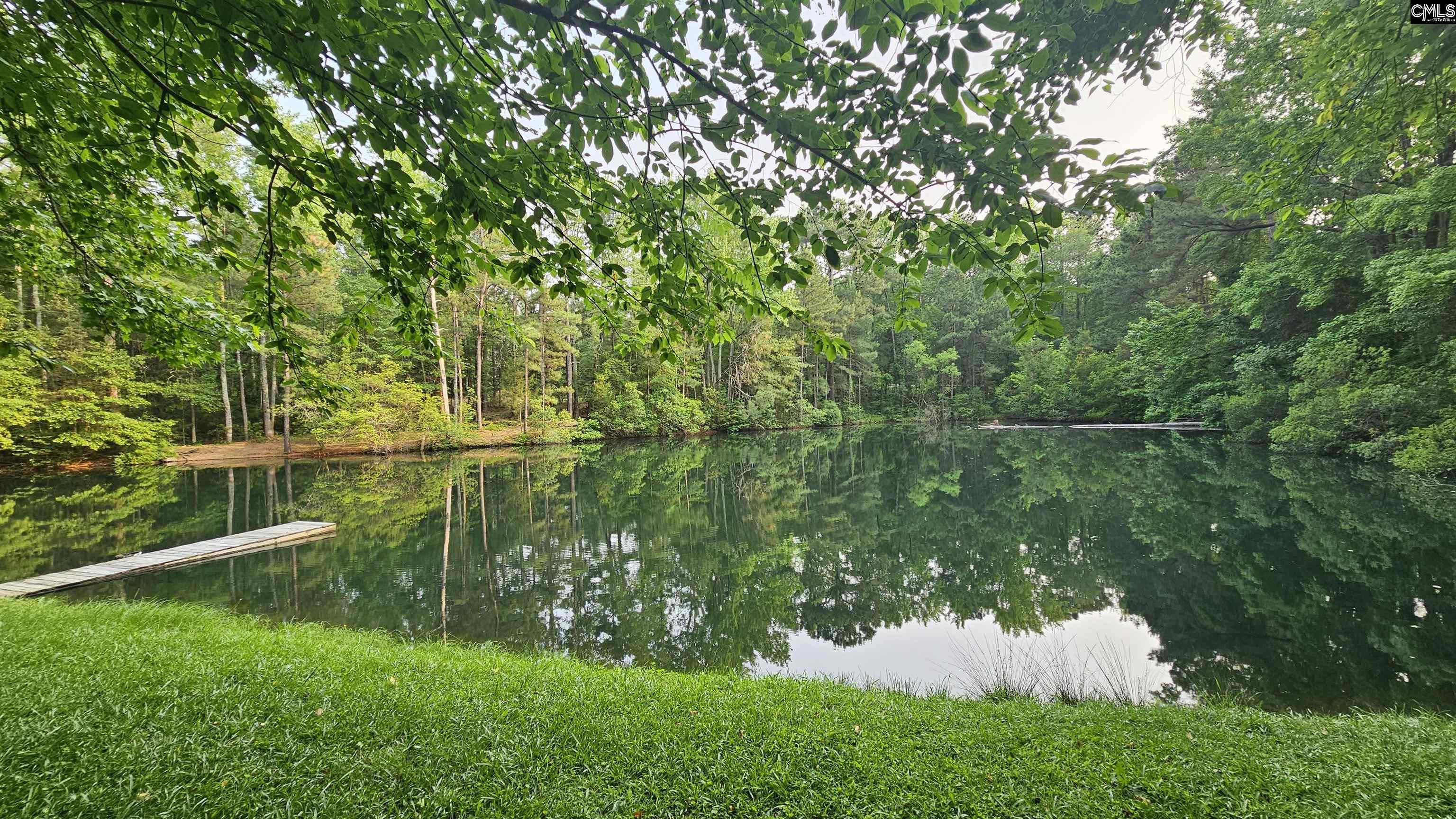 310 Andrew Corley Road Lexington, SC 29072