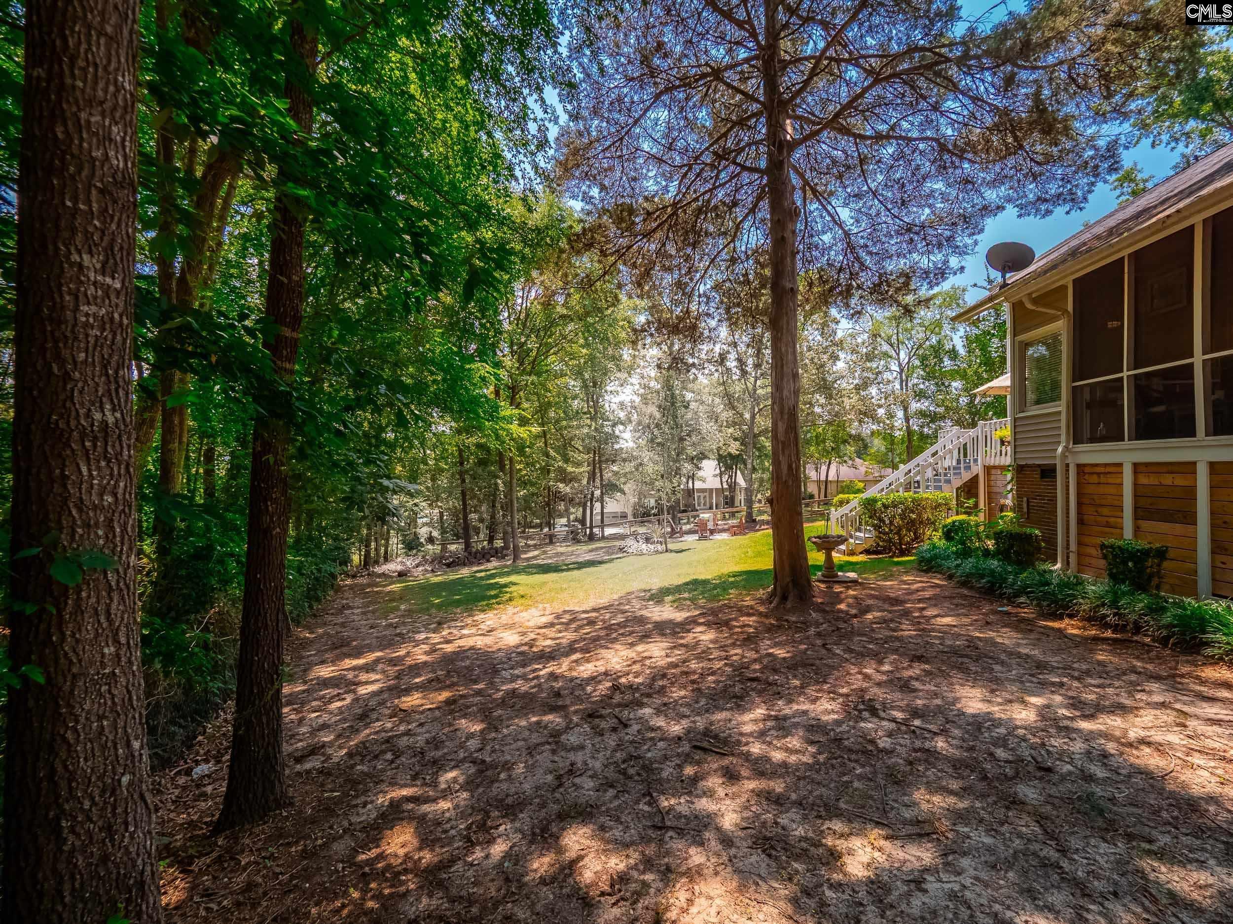 118 Old Sawmill Trail, Chapin, South Carolina image 36