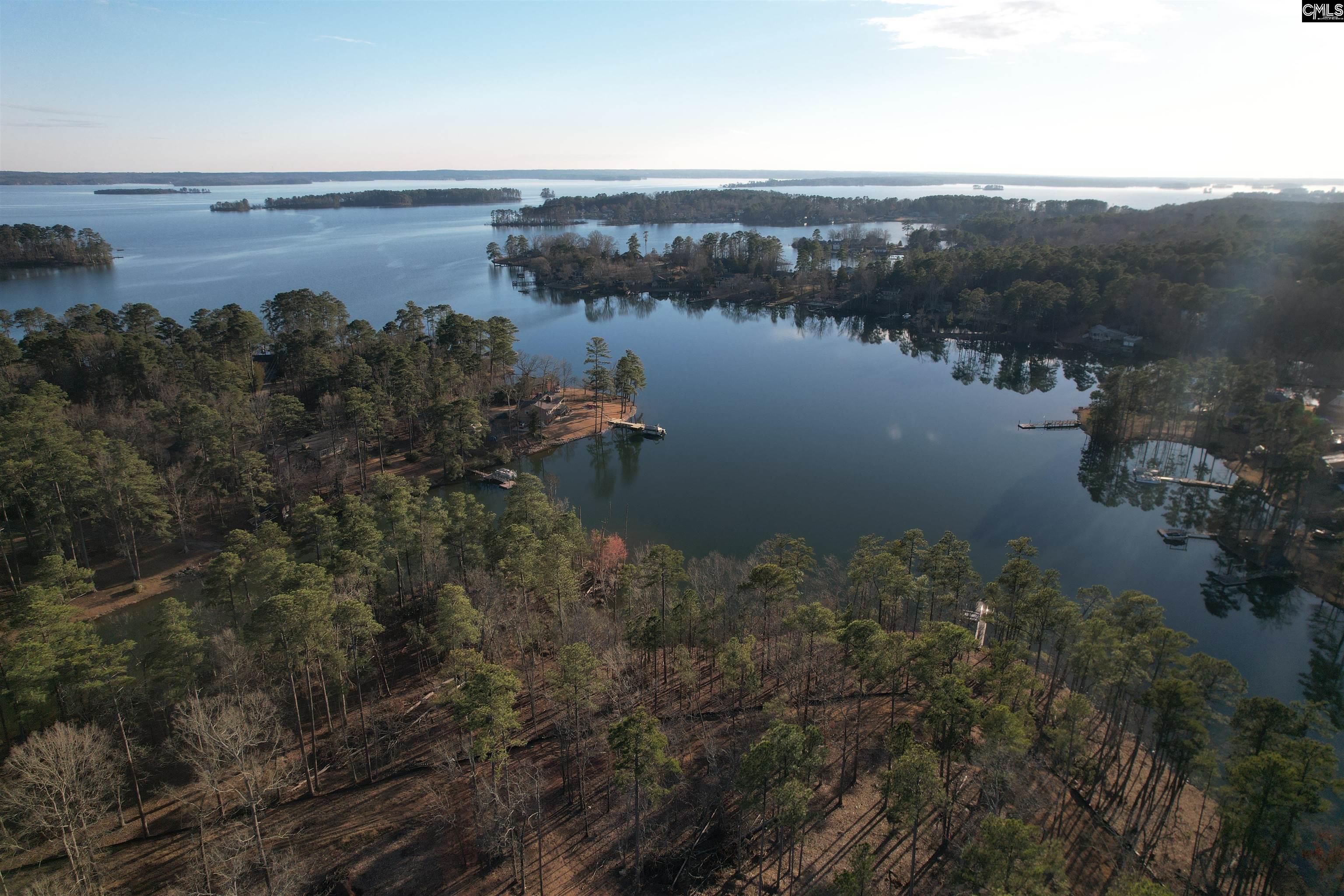 1533 Saugus Court, Chapin, South Carolina image 3