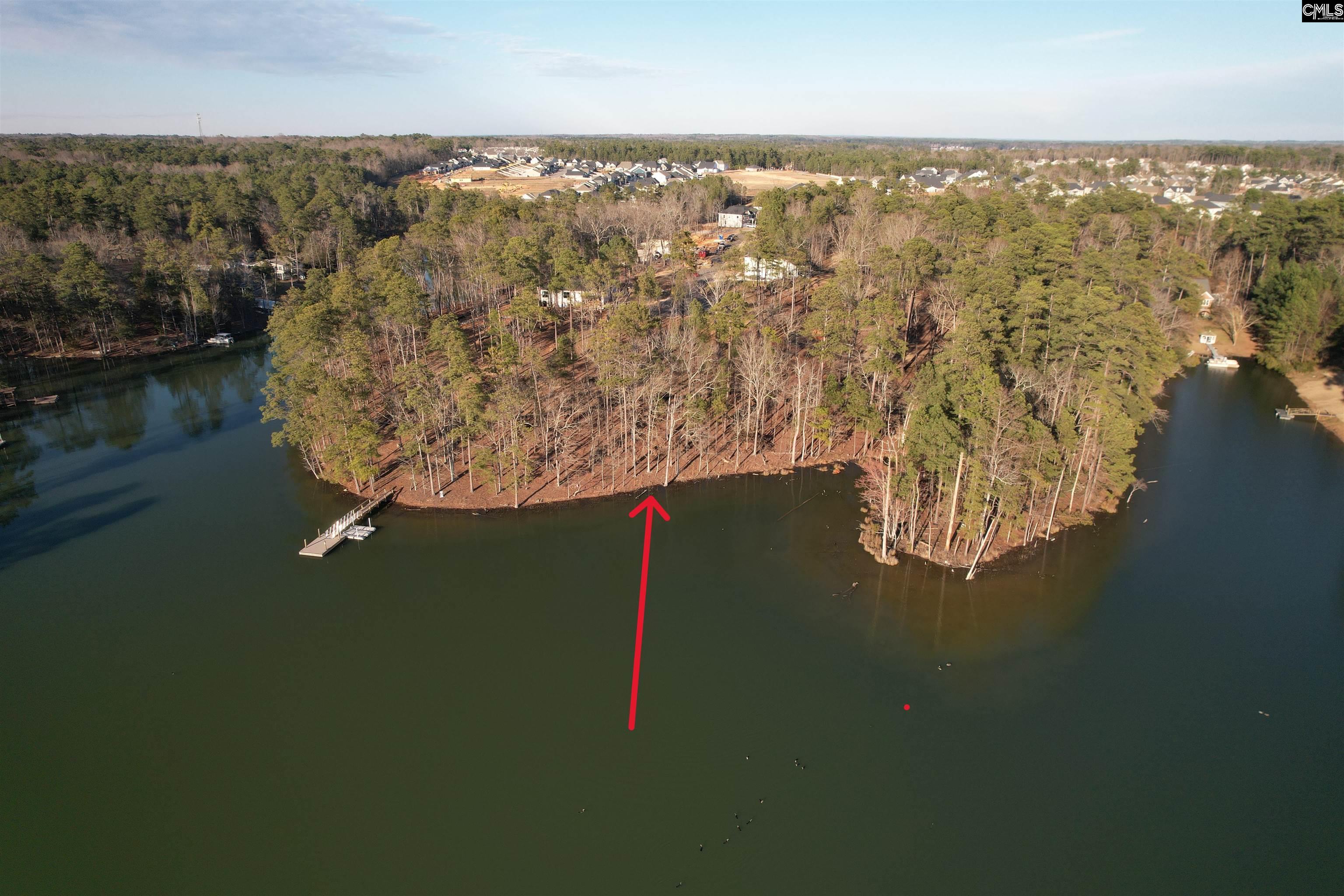 1533 Saugus Court, Chapin, South Carolina image 4