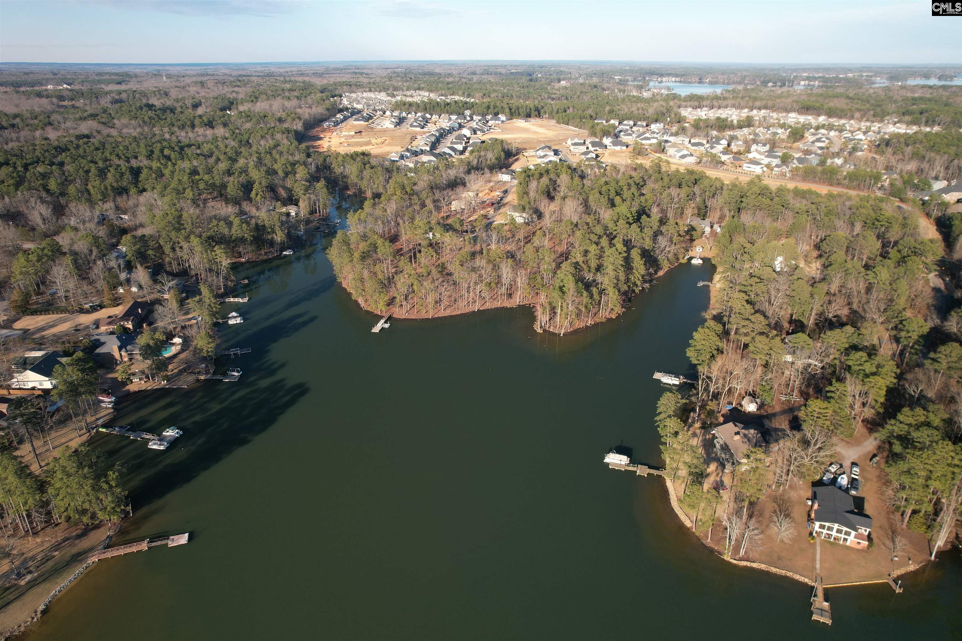 1533 Saugus Court, Chapin, South Carolina image 5