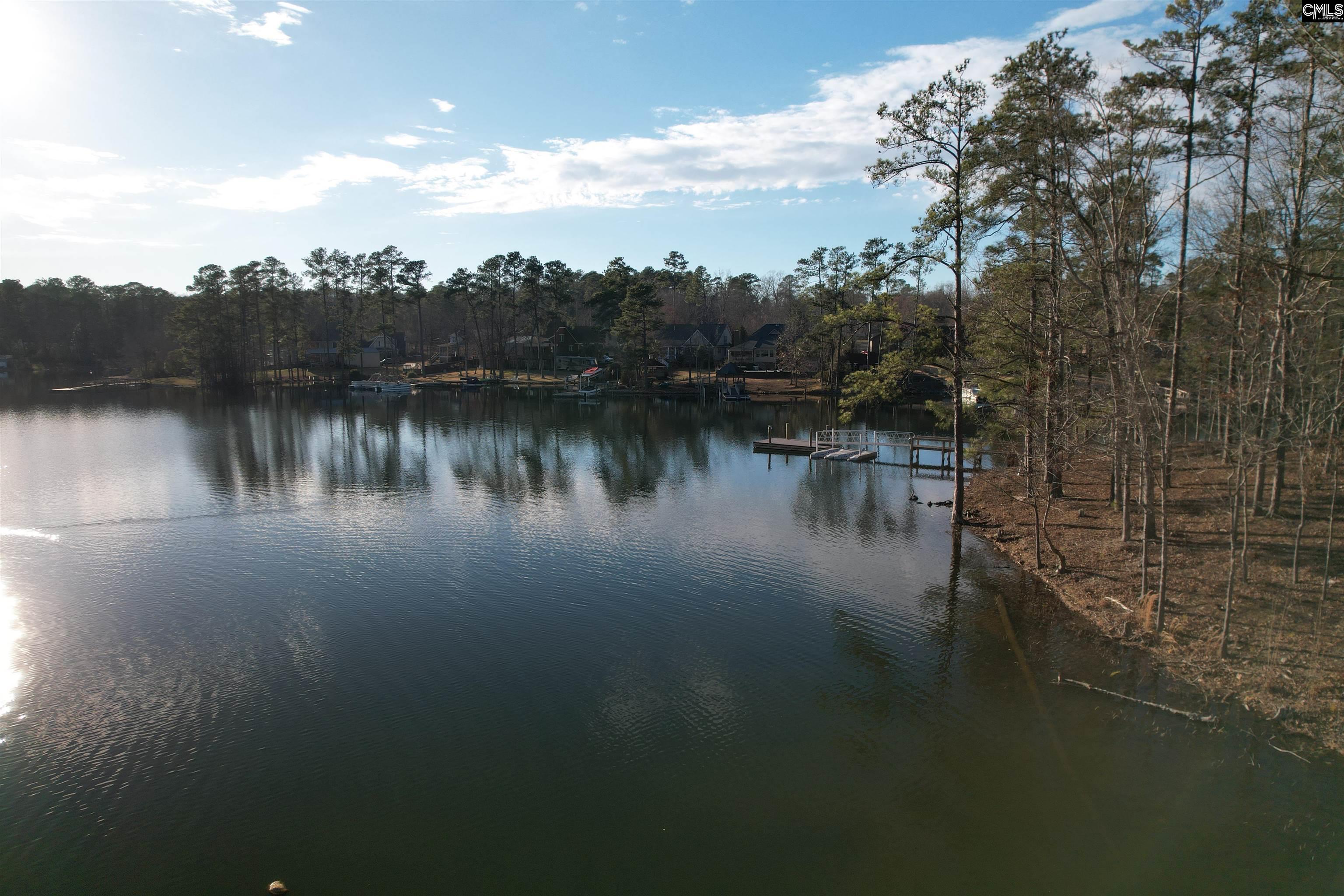 1533 Saugus Court, Chapin, South Carolina image 6