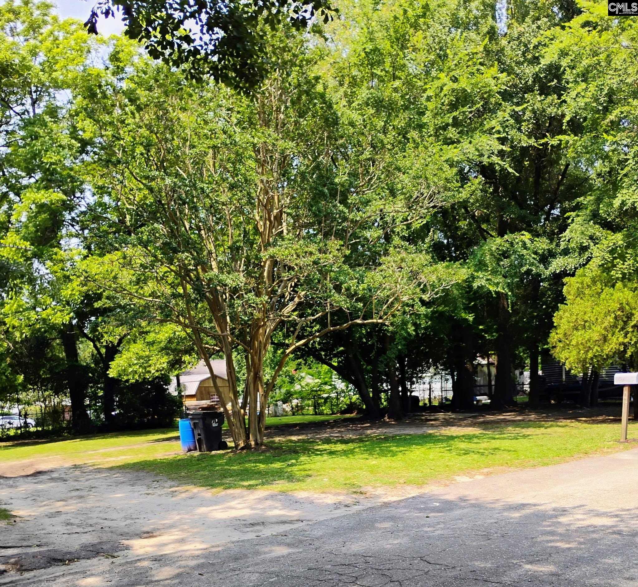 369 Mill Street, Batesburg, South Carolina image 3