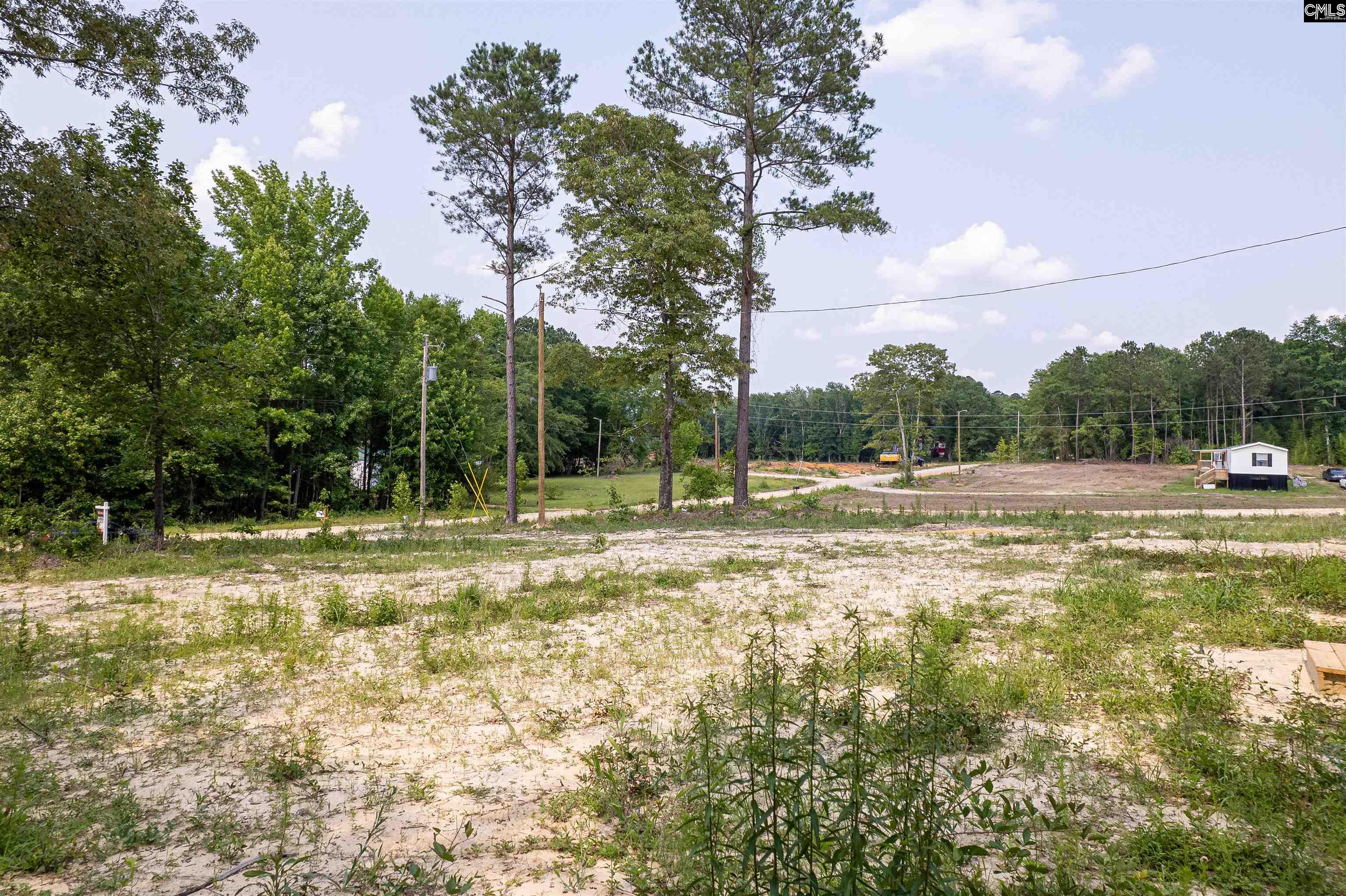 49 Timber Lane, Orangeburg, South Carolina image 20