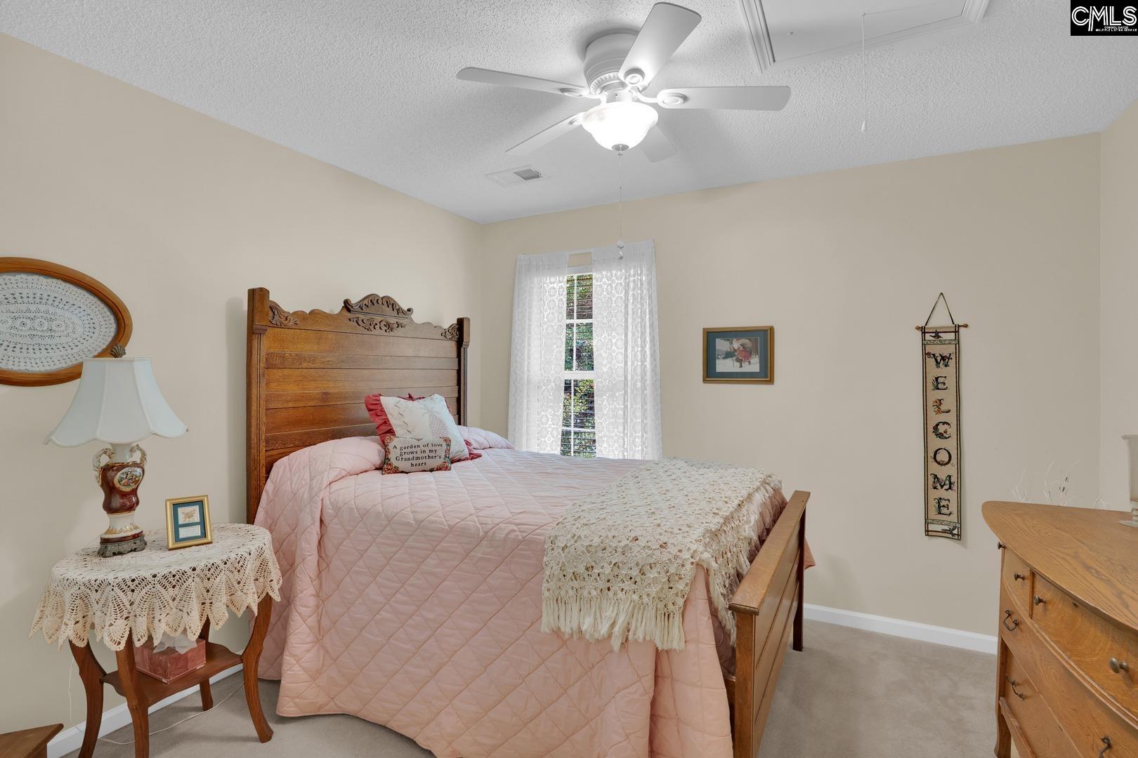 24 Stoney Pointe Drive, Chapin, South Carolina image 28