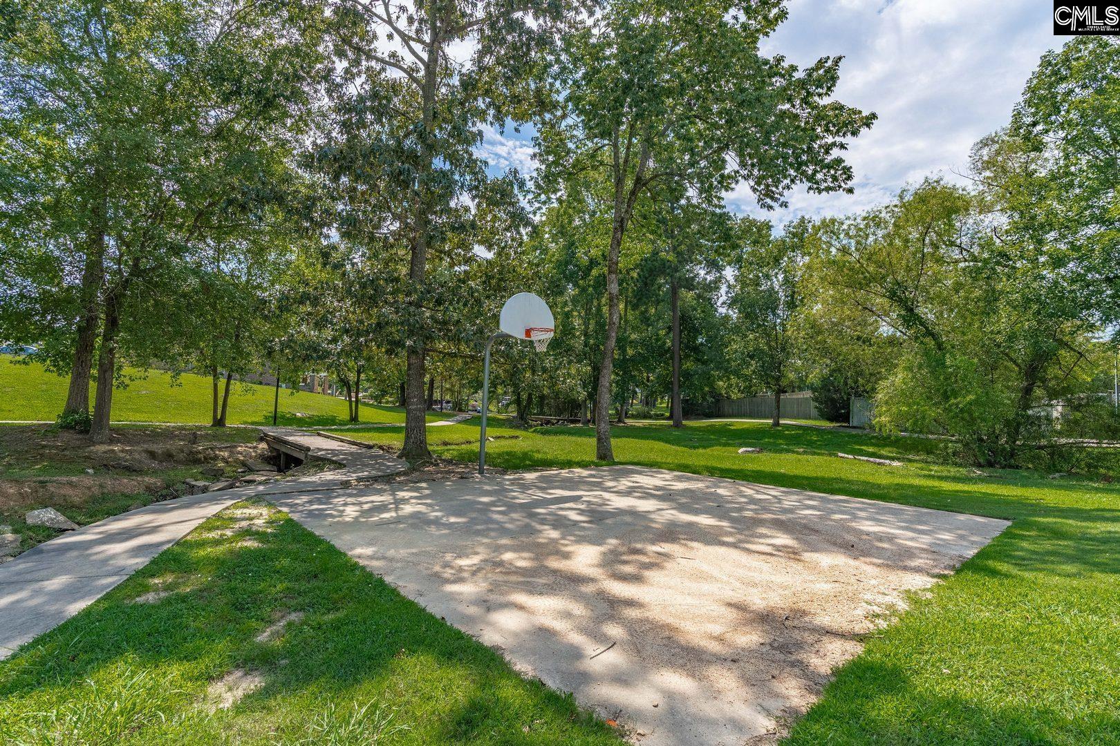 24 Stoney Pointe Drive, Chapin, South Carolina image 42