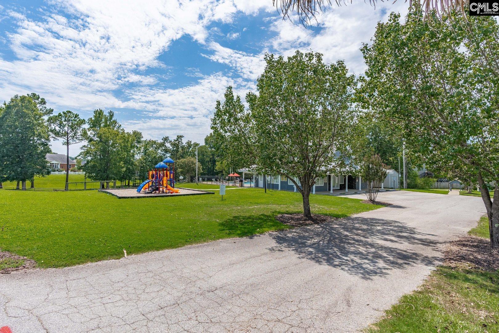 24 Stoney Pointe Drive, Chapin, South Carolina image 47