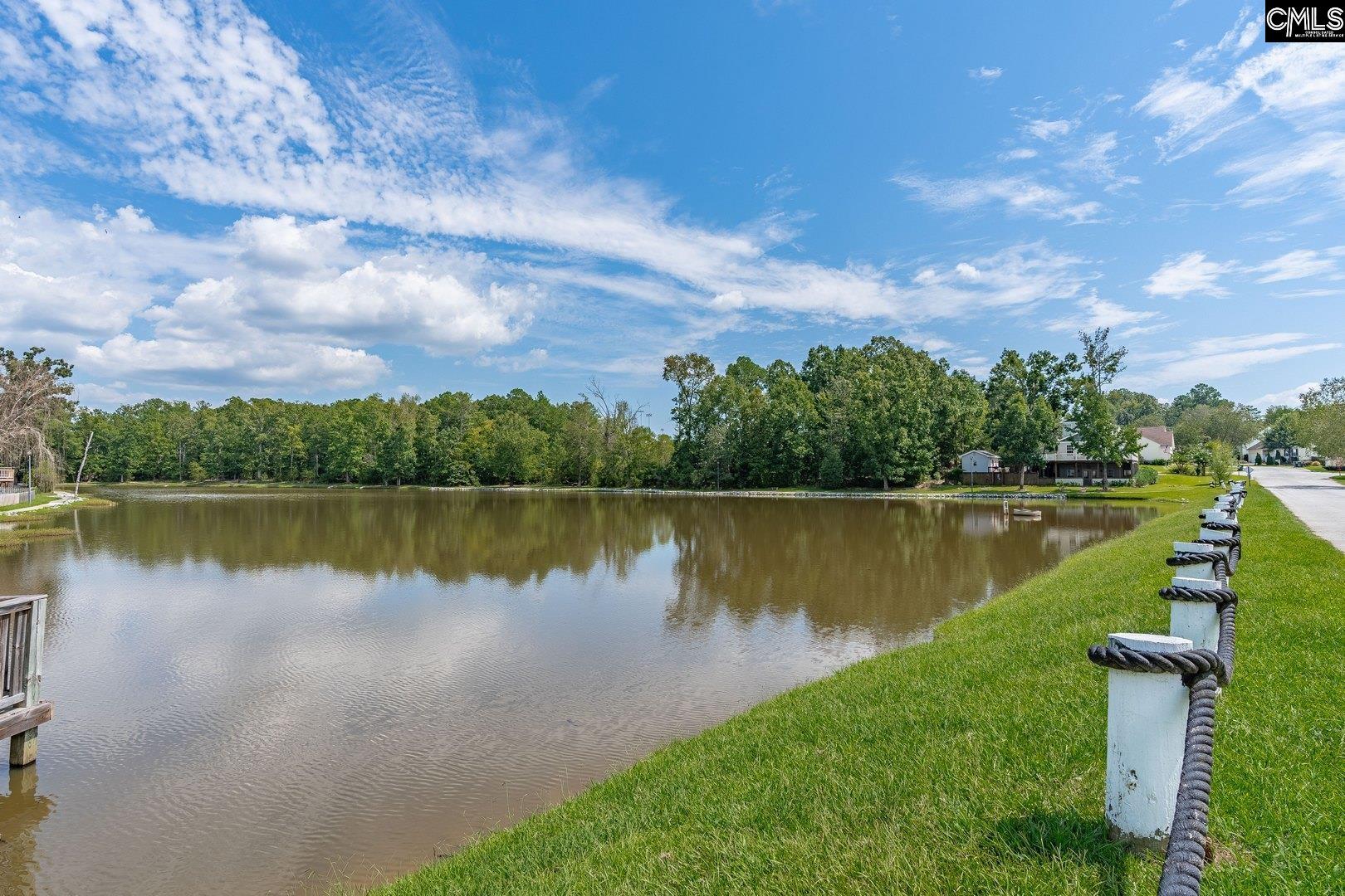 24 Stoney Pointe Drive, Chapin, South Carolina image 48