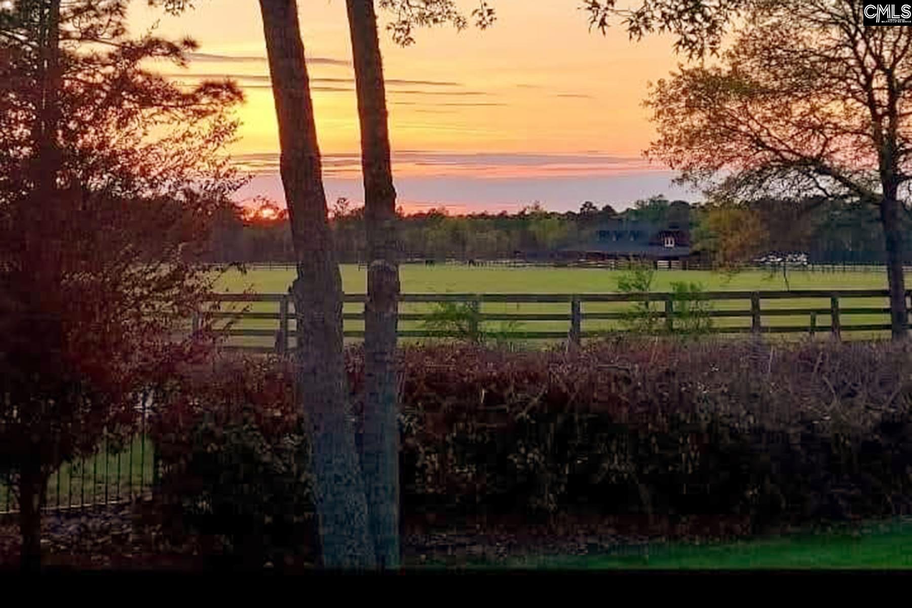 56 Weatherby Court, Blythewood, South Carolina image 4