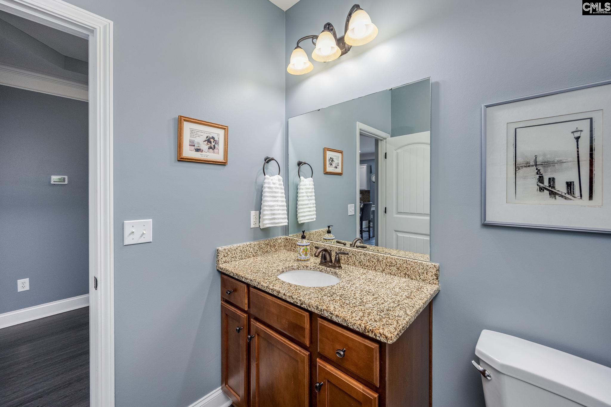 337 Mill House Lane, Lexington, South Carolina image 9