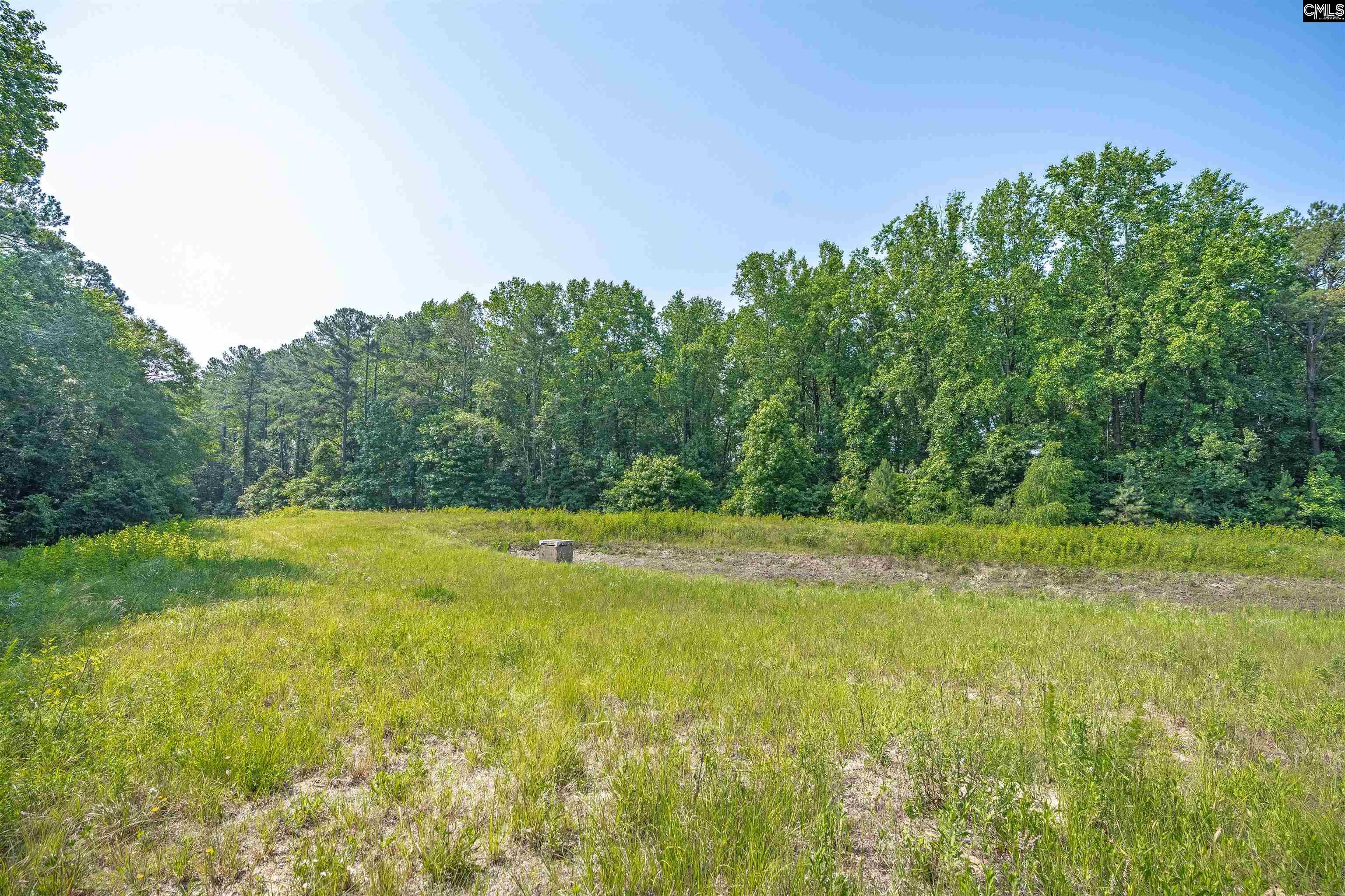 350 Grey Oaks Court, Lexington, South Carolina image 39