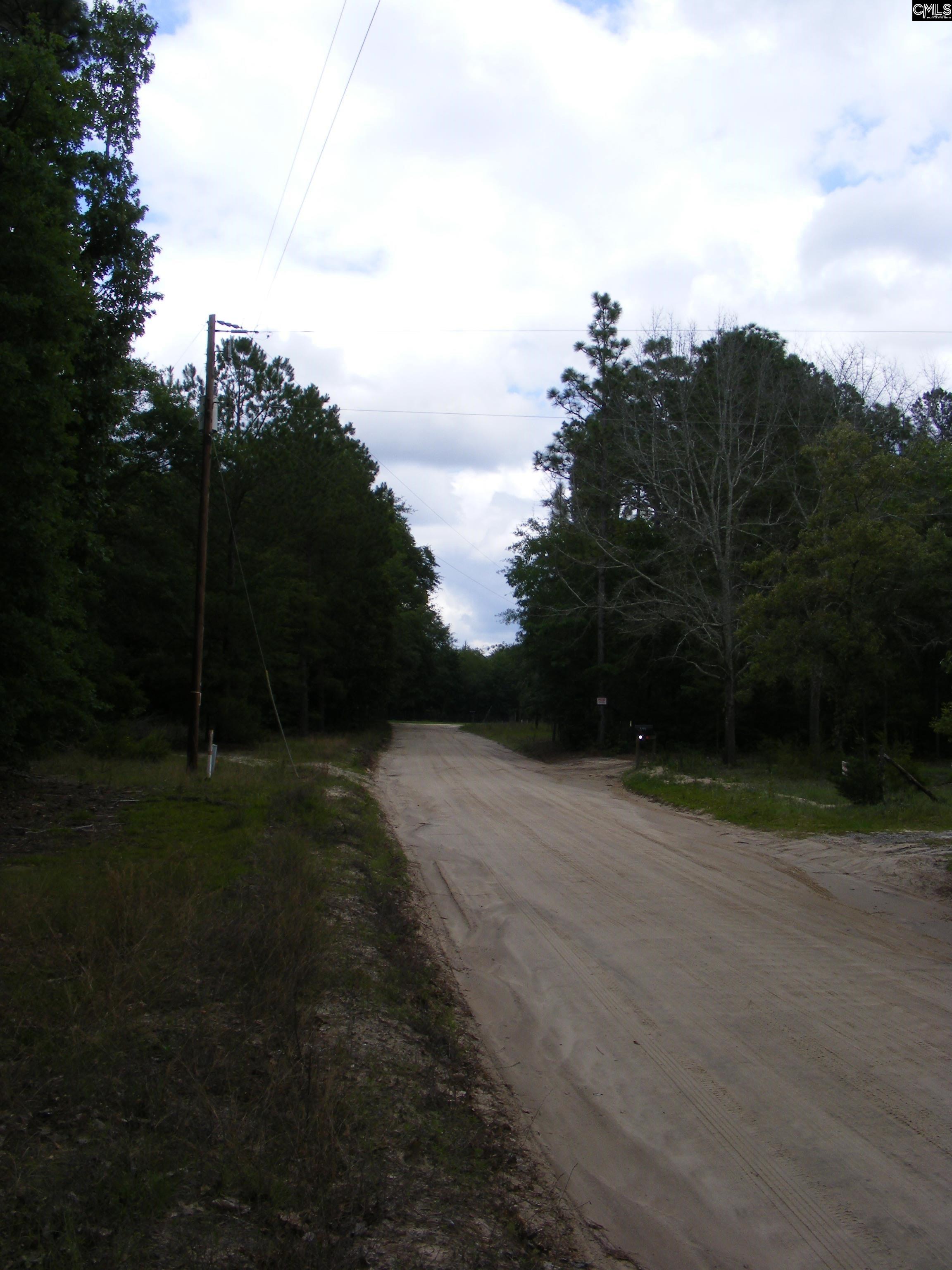 133 Tom Lucas Road, Pelion, South Carolina image 2