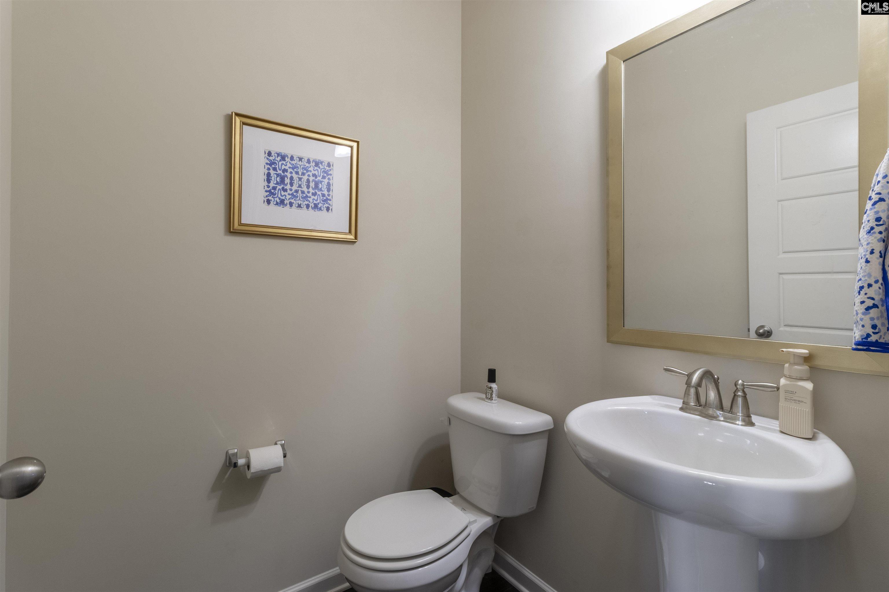 209 Village Green Way, Lexington, South Carolina image 19