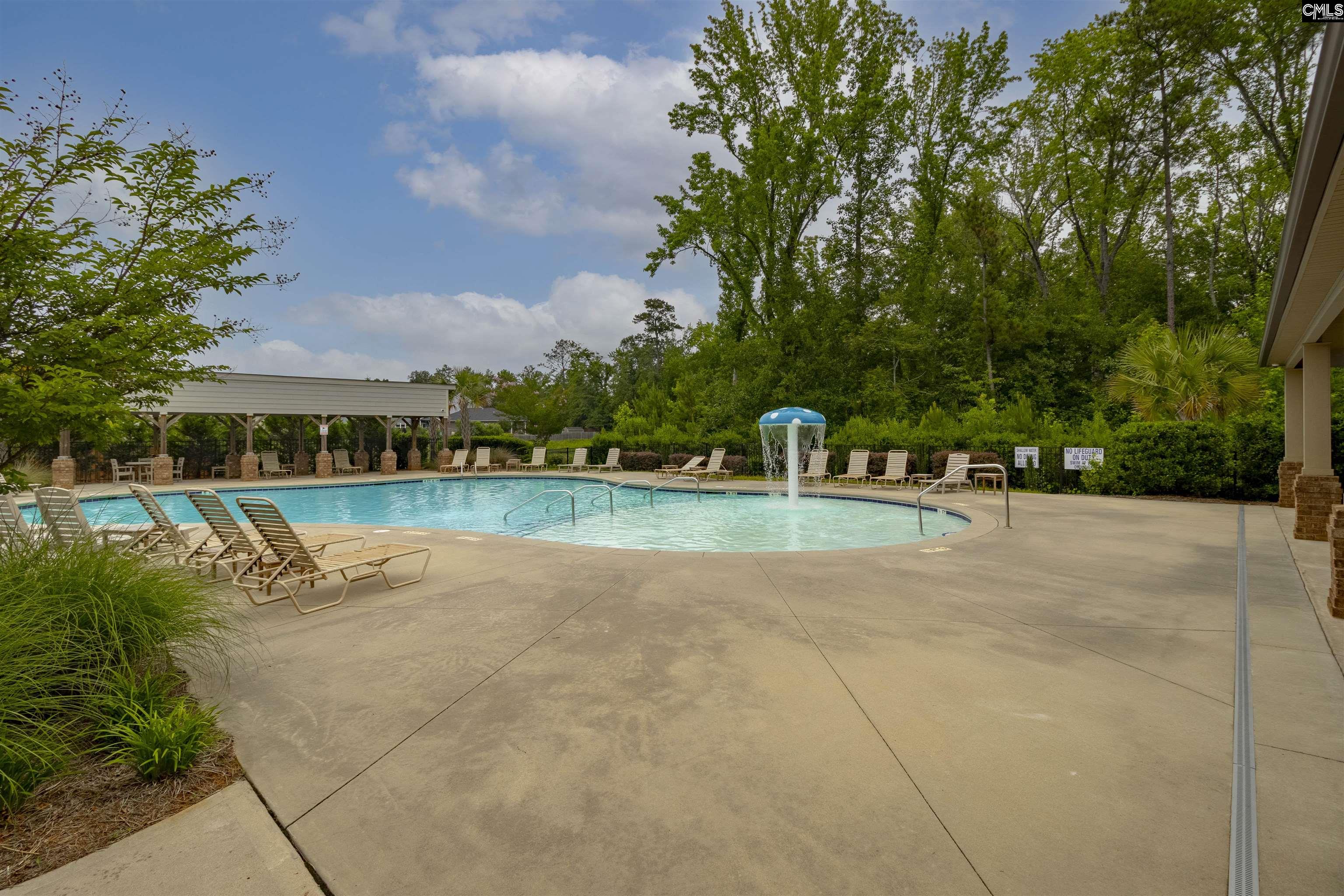 209 Village Green Way, Lexington, South Carolina image 44