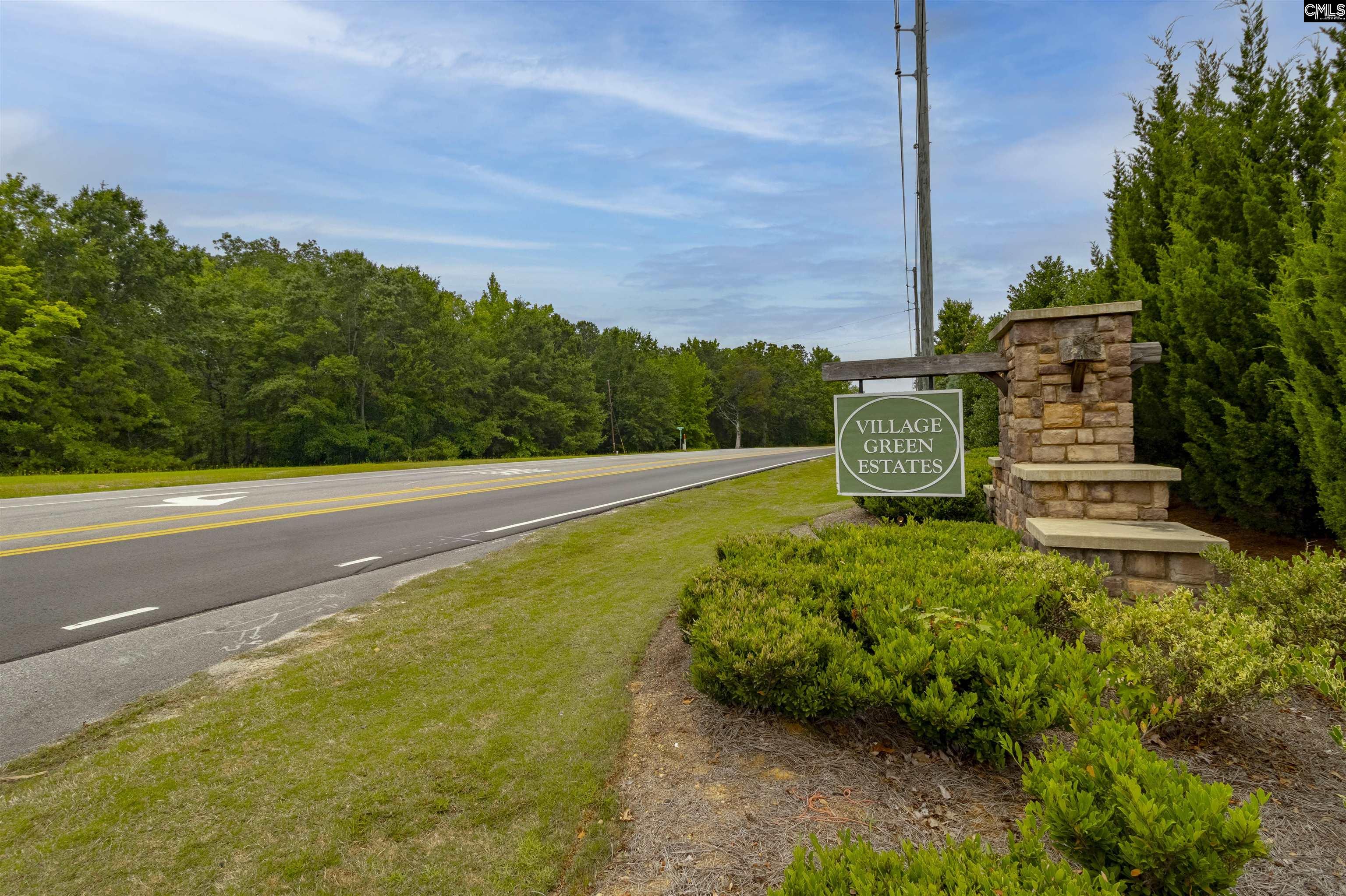 209 Village Green Way, Lexington, South Carolina image 46