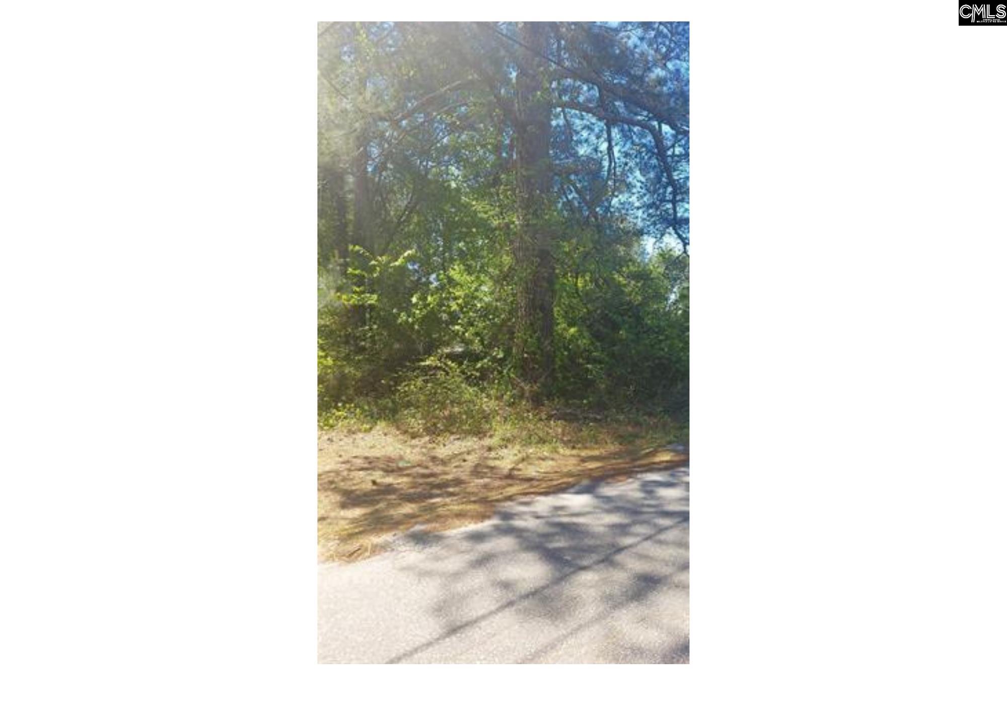 Eleanor Street, Newberry, South Carolina image 1