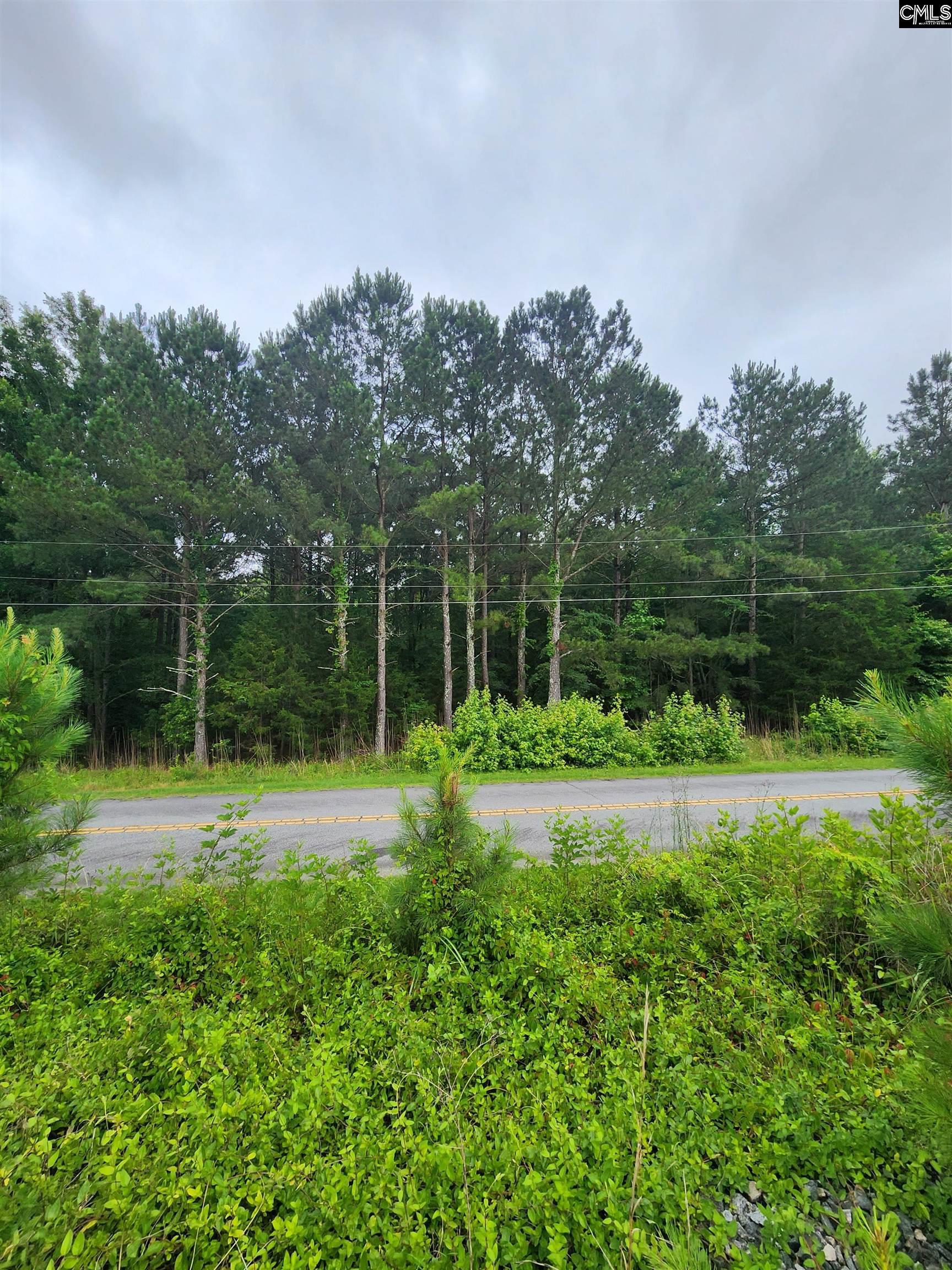 Elm Street, Prosperity, South Carolina image 15