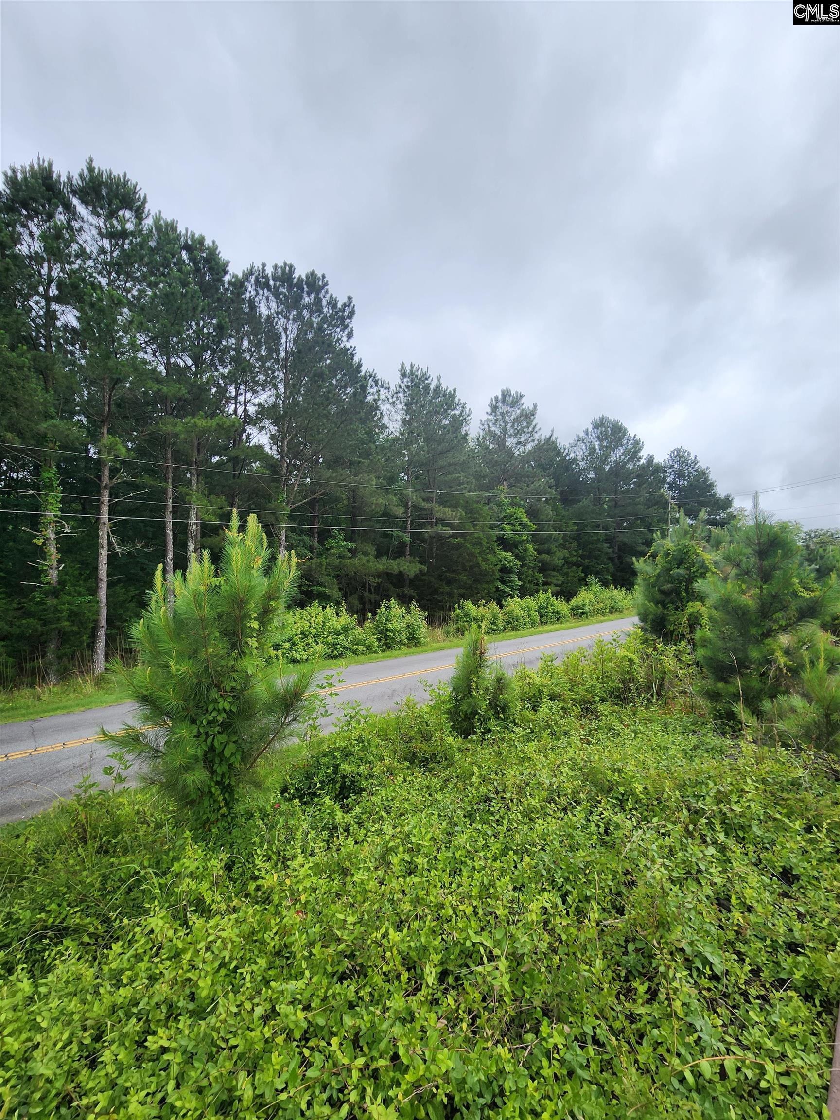 Elm Street, Prosperity, South Carolina image 3