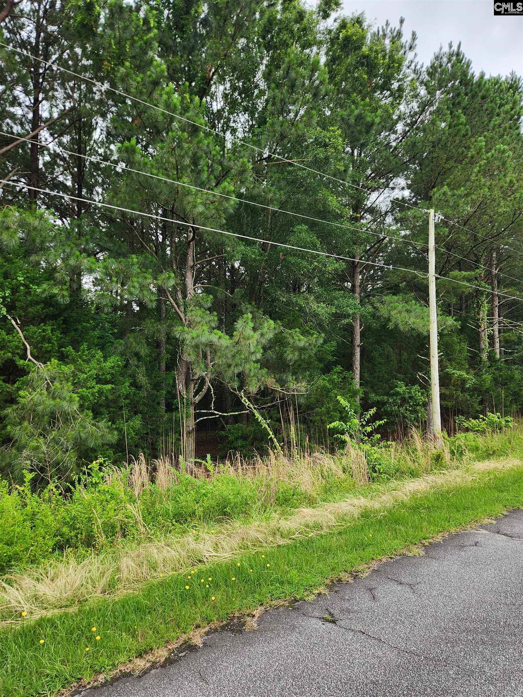 Elm Street, Prosperity, South Carolina image 7