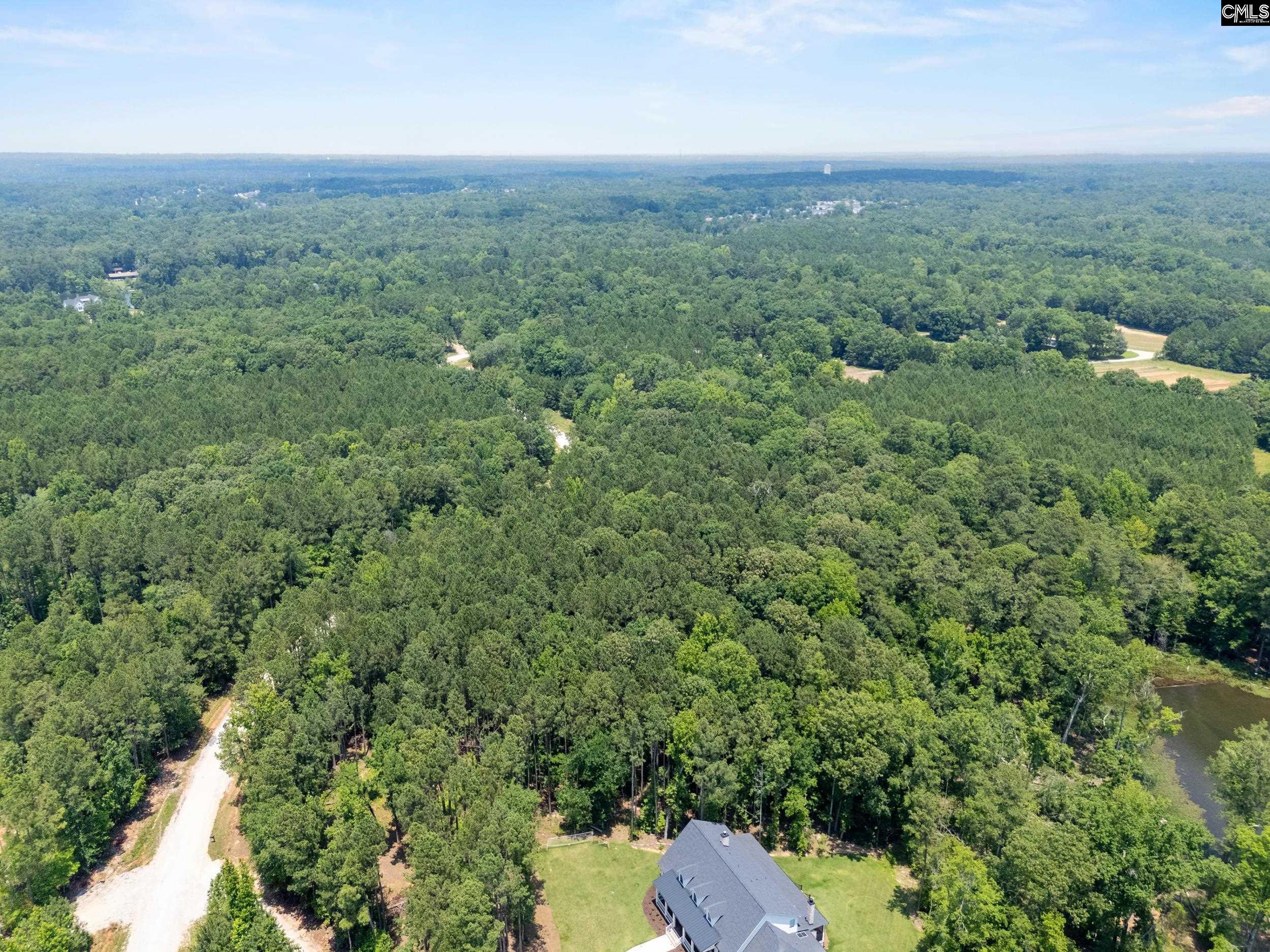 725 Clipper Trail, Chapin, South Carolina image 11
