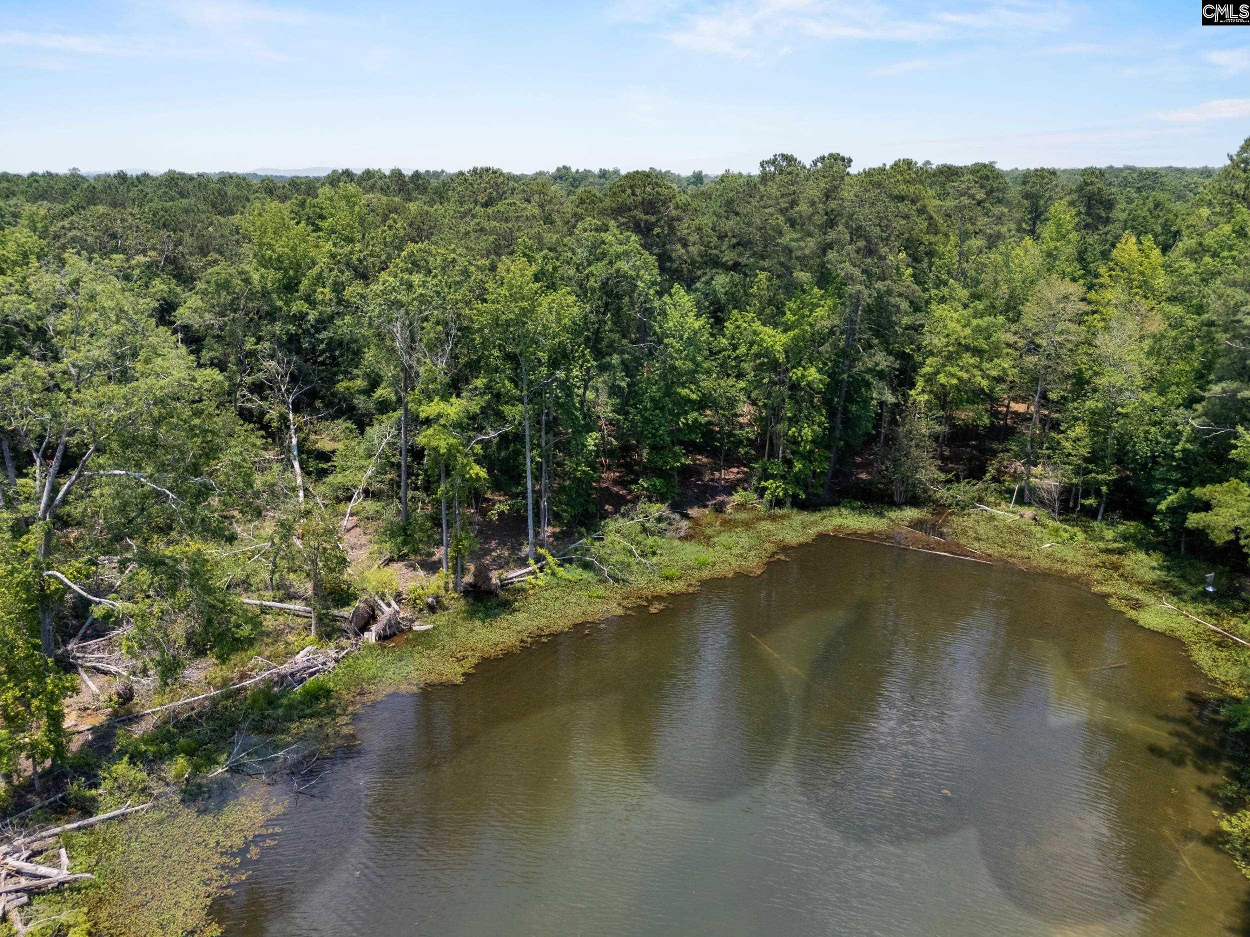 725 Clipper Trail, Chapin, South Carolina image 14
