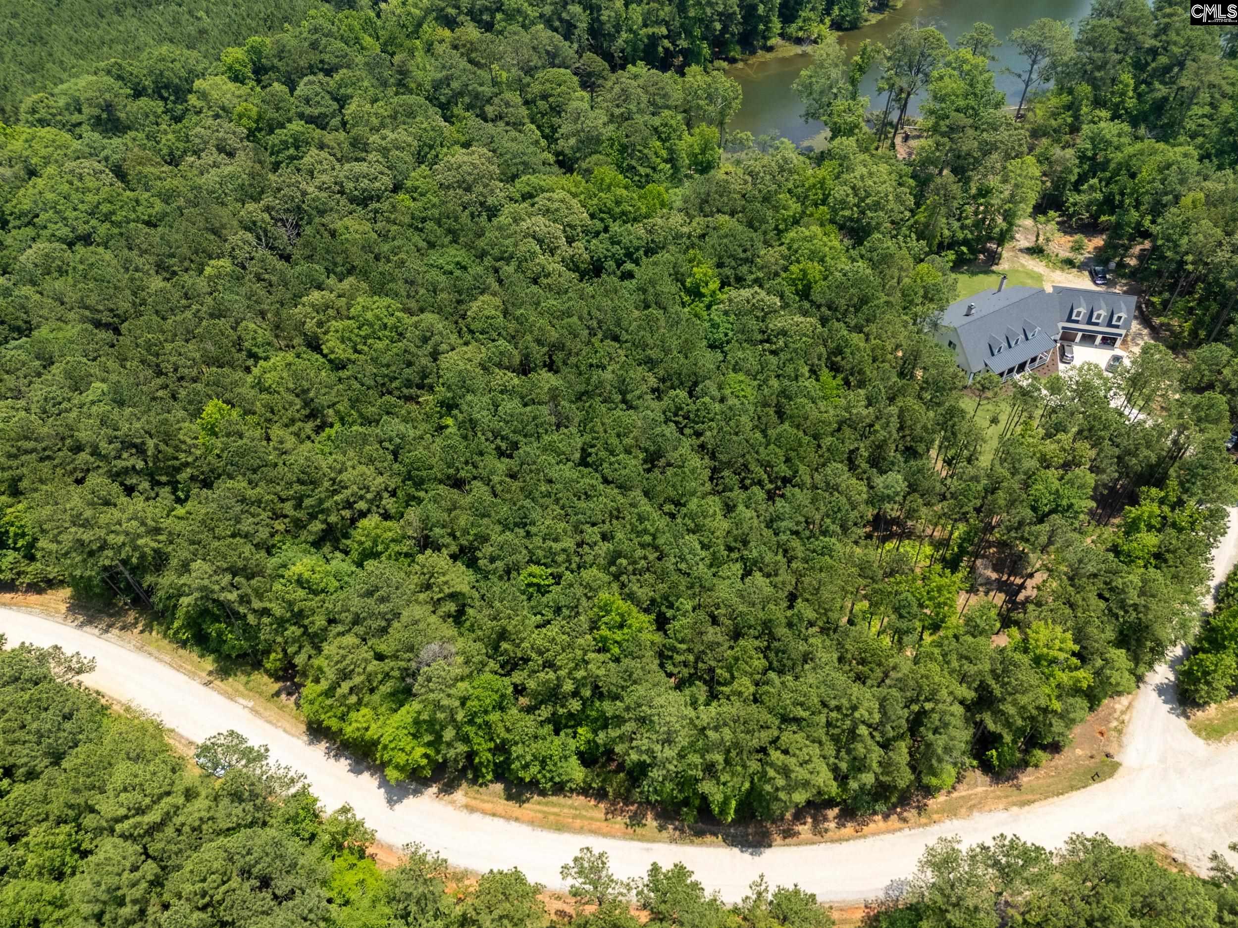 725 Clipper Trail, Chapin, South Carolina image 15