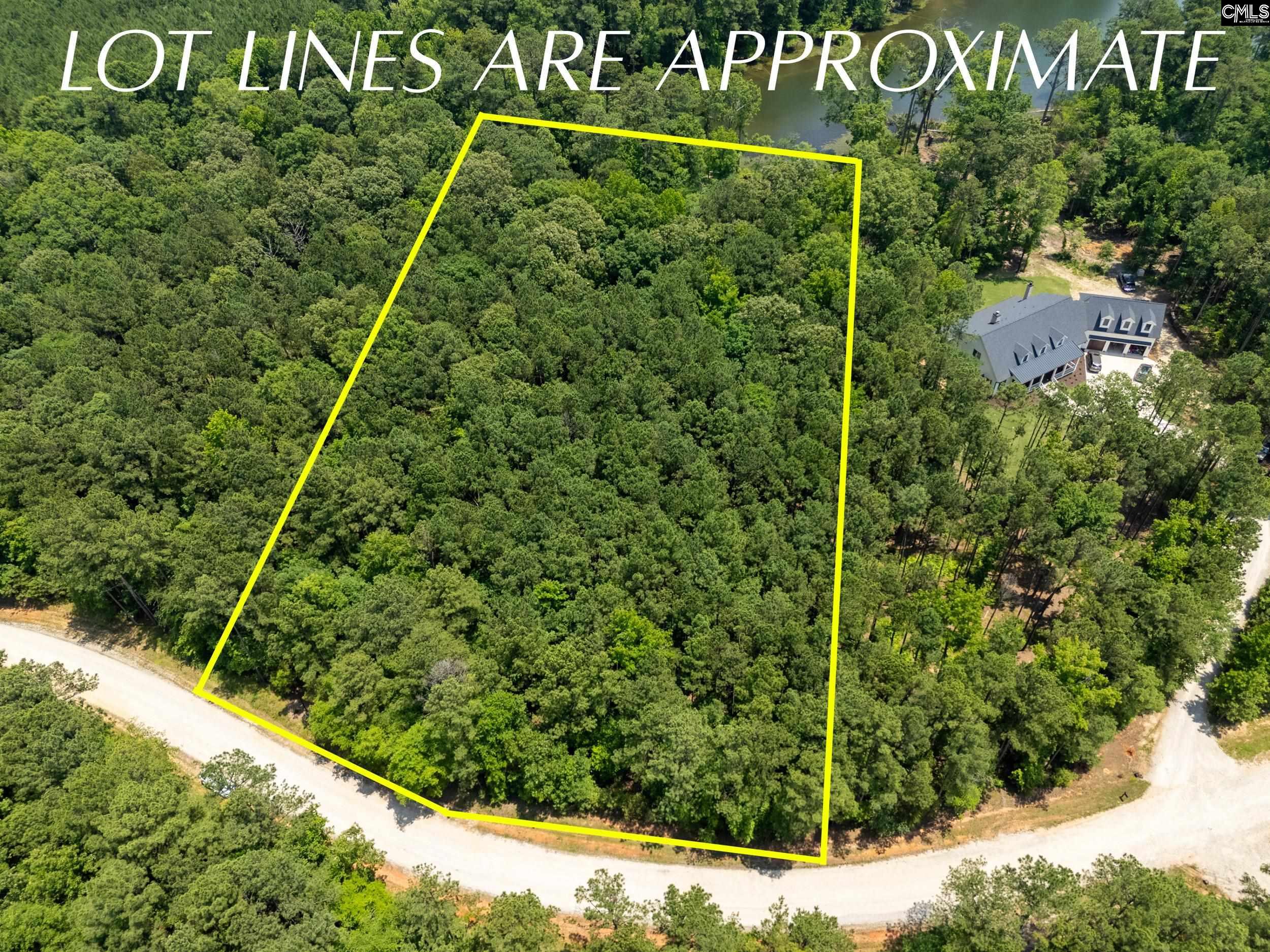 725 Clipper Trail, Chapin, South Carolina image 16