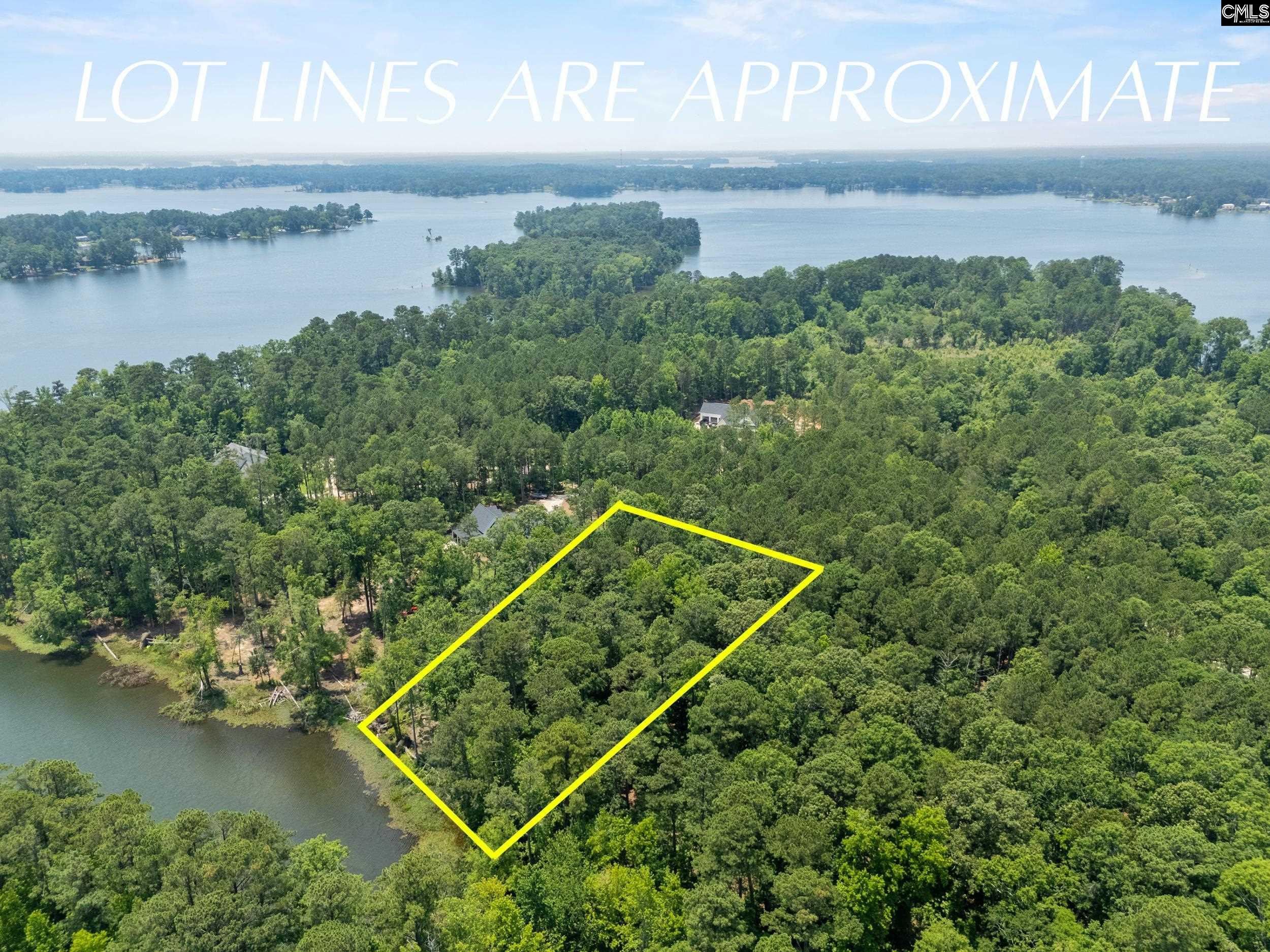 725 Clipper Trail, Chapin, South Carolina image 3