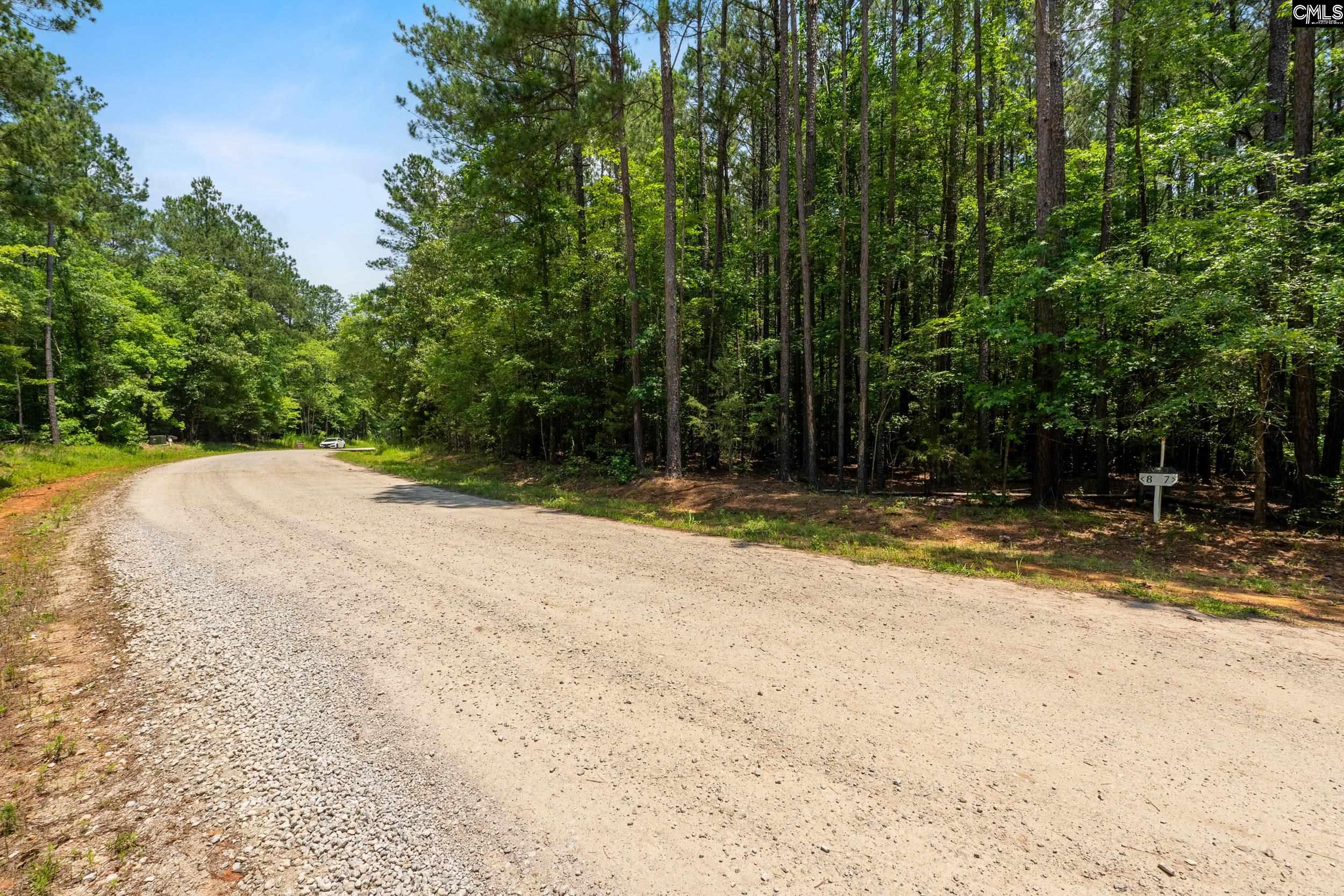 725 Clipper Trail, Chapin, South Carolina image 19
