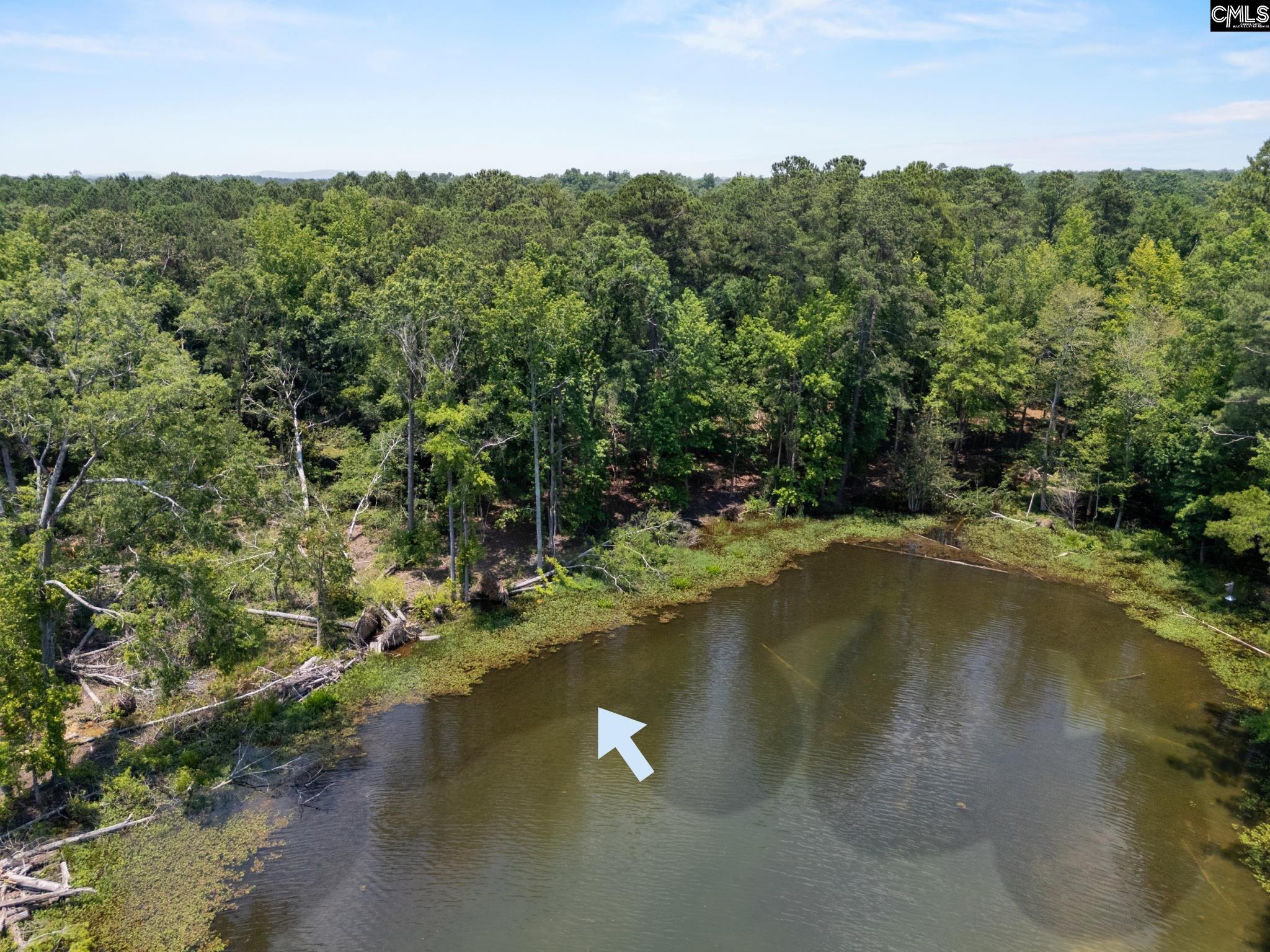 725 Clipper Trail, Chapin, South Carolina image 5