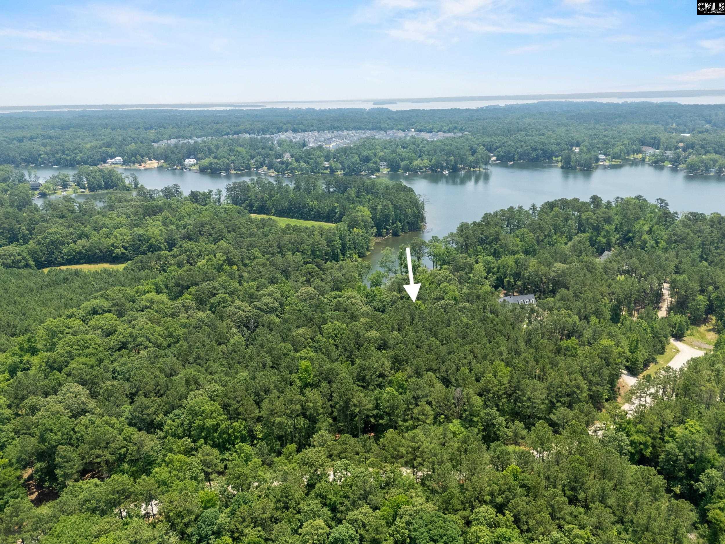 725 Clipper Trail, Chapin, South Carolina image 6