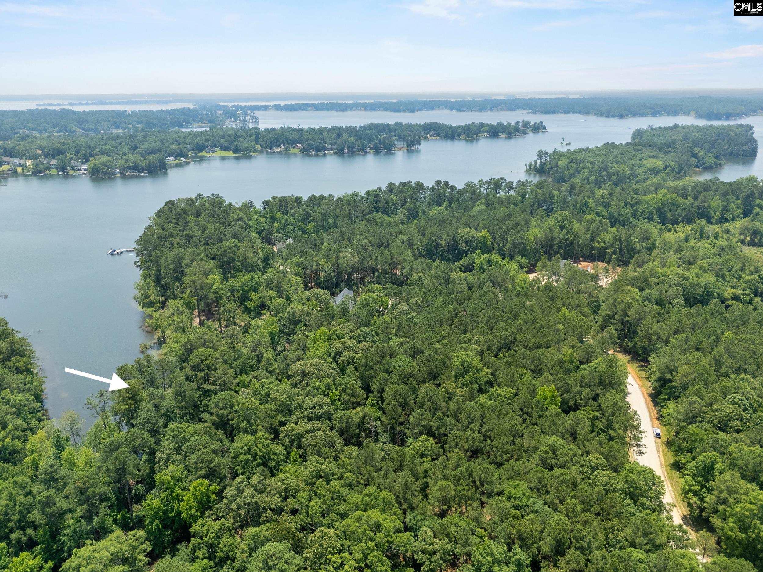725 Clipper Trail, Chapin, South Carolina image 7
