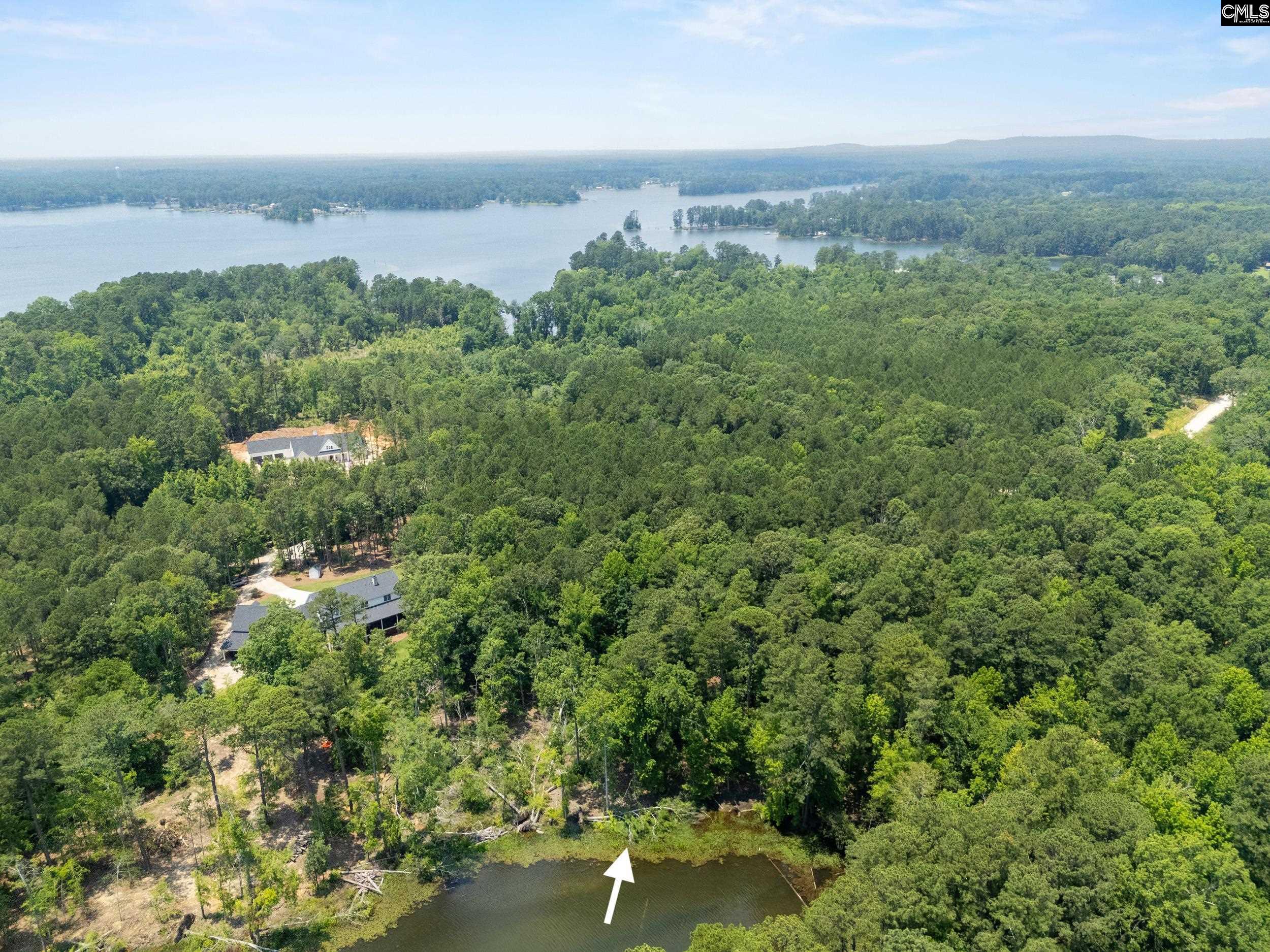 725 Clipper Trail, Chapin, South Carolina image 8