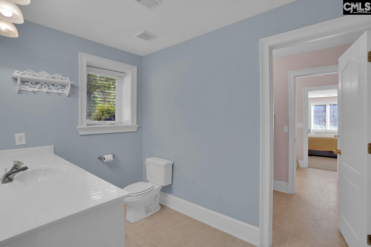 140 Leonard Drive, Lexington, South Carolina image 43