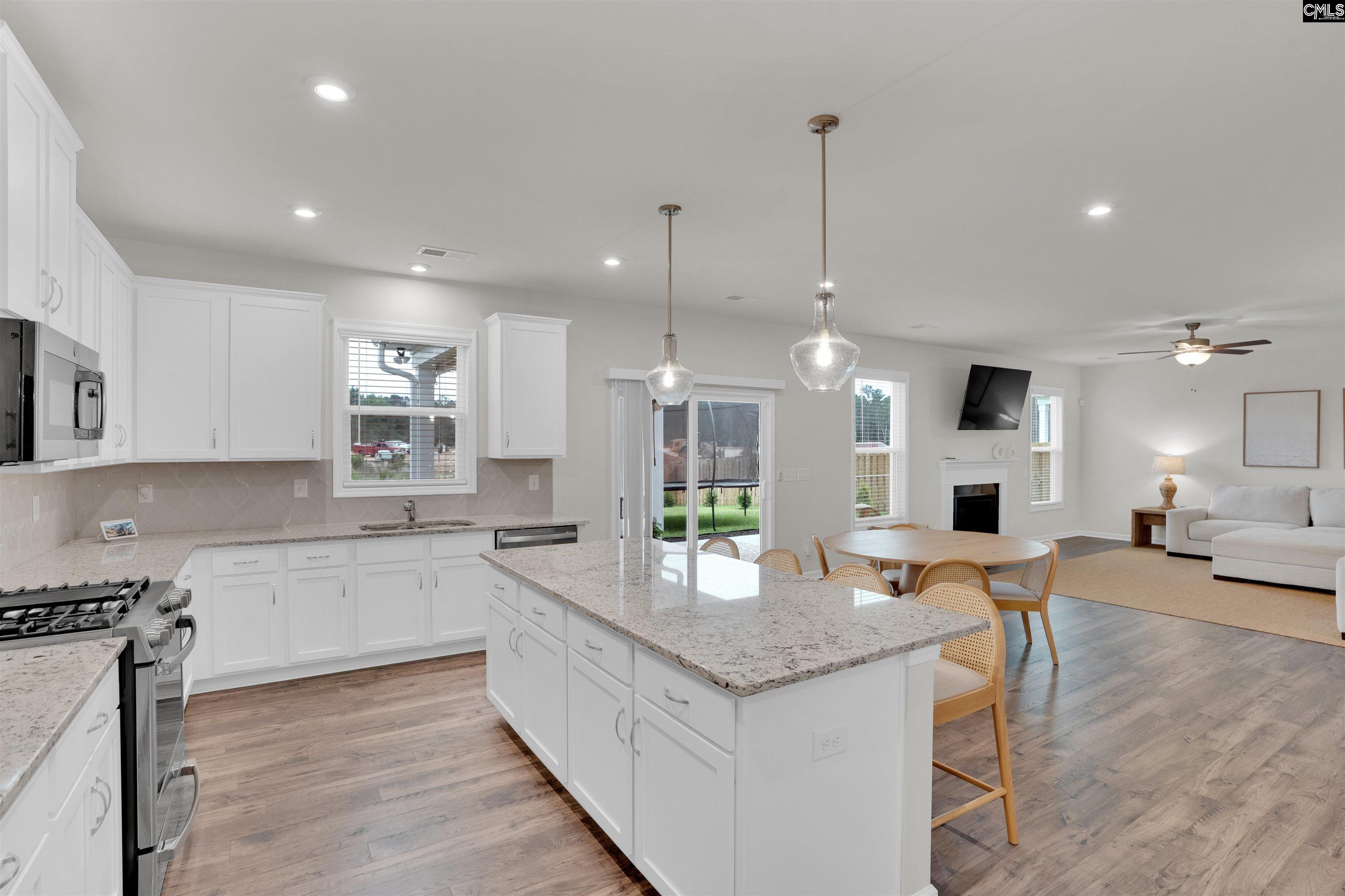 444 Dolomite Court, Chapin, South Carolina image 11