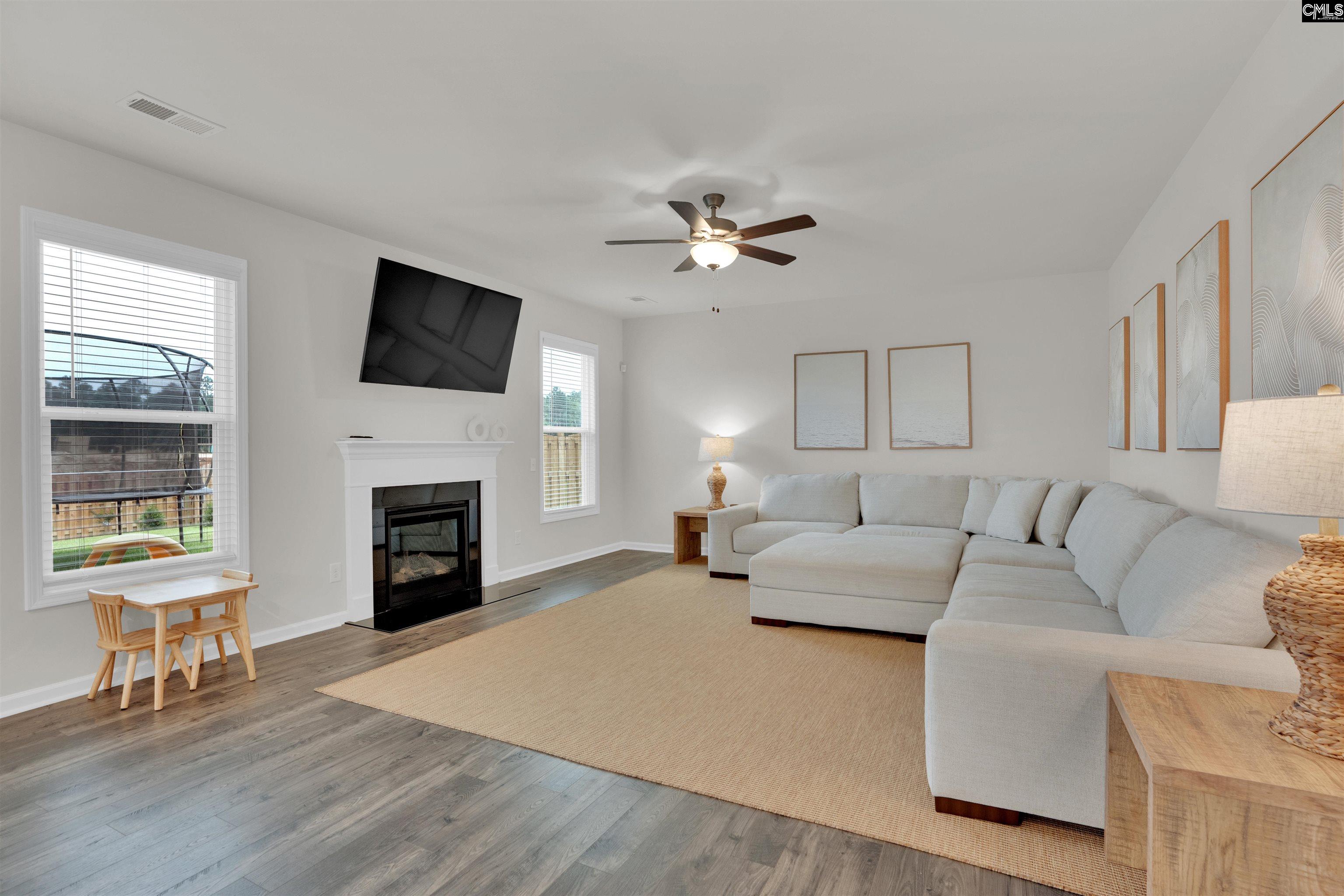 444 Dolomite Court, Chapin, South Carolina image 14