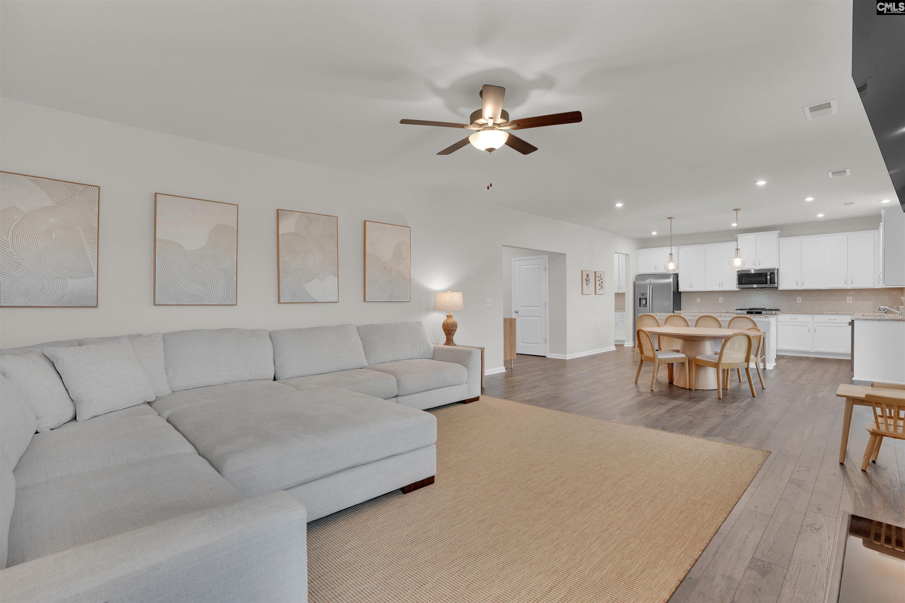 444 Dolomite Court, Chapin, South Carolina image 15