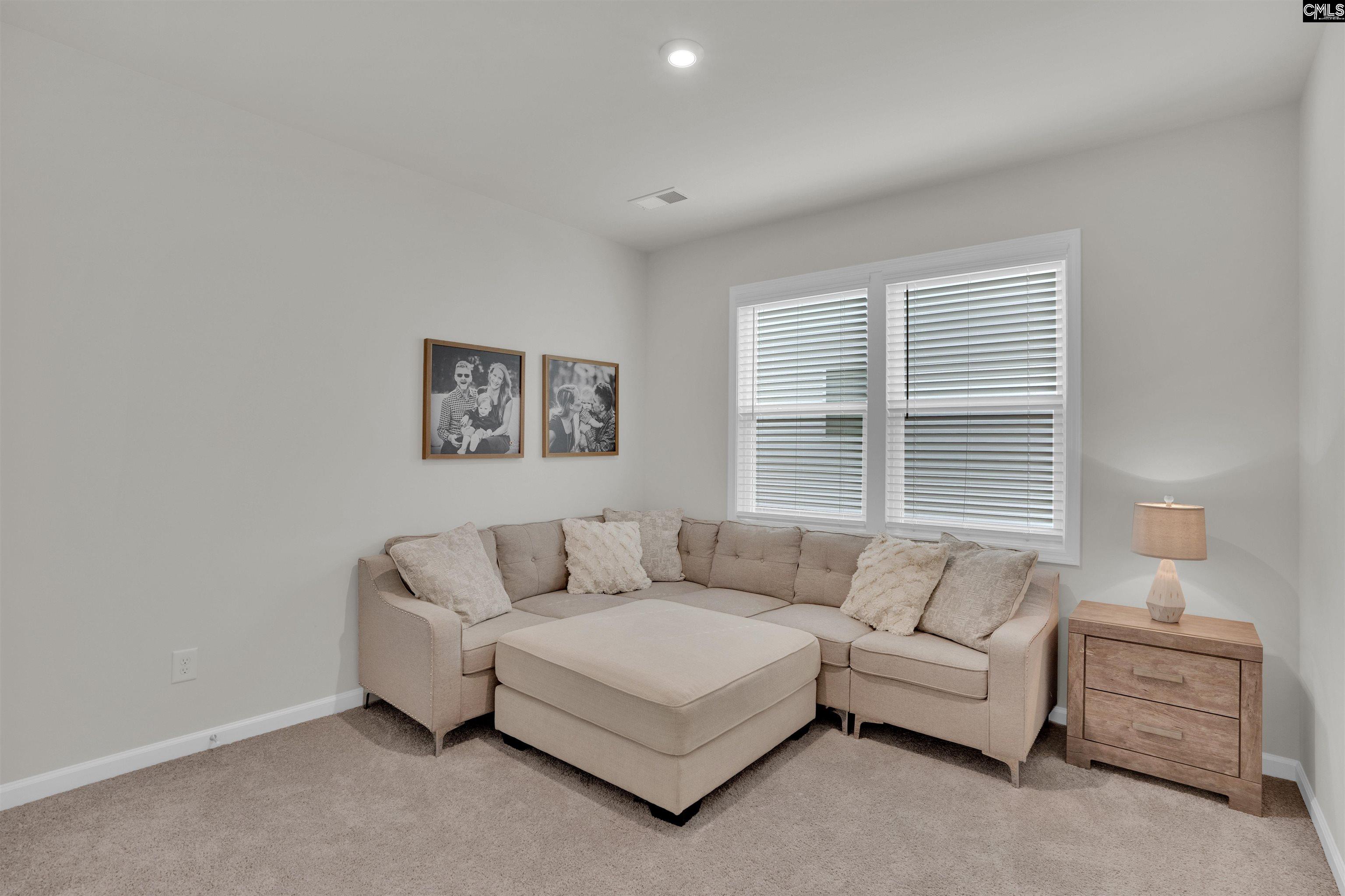 444 Dolomite Court, Chapin, South Carolina image 17