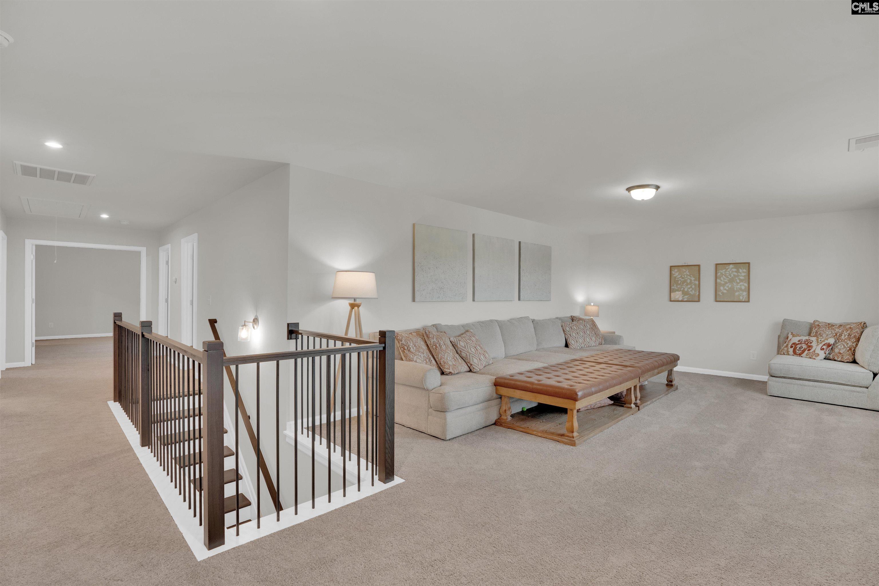 444 Dolomite Court, Chapin, South Carolina image 19