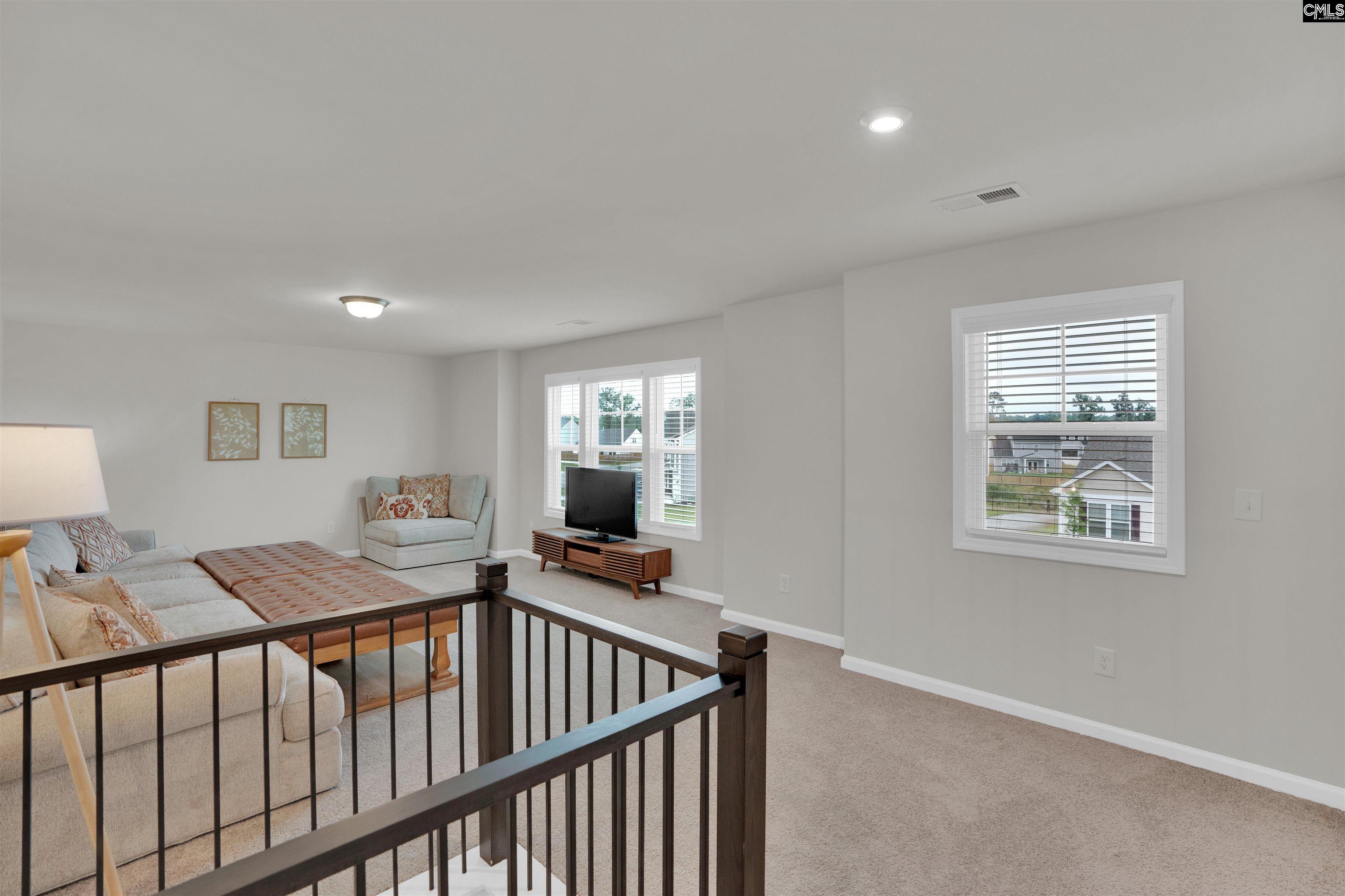 444 Dolomite Court, Chapin, South Carolina image 20