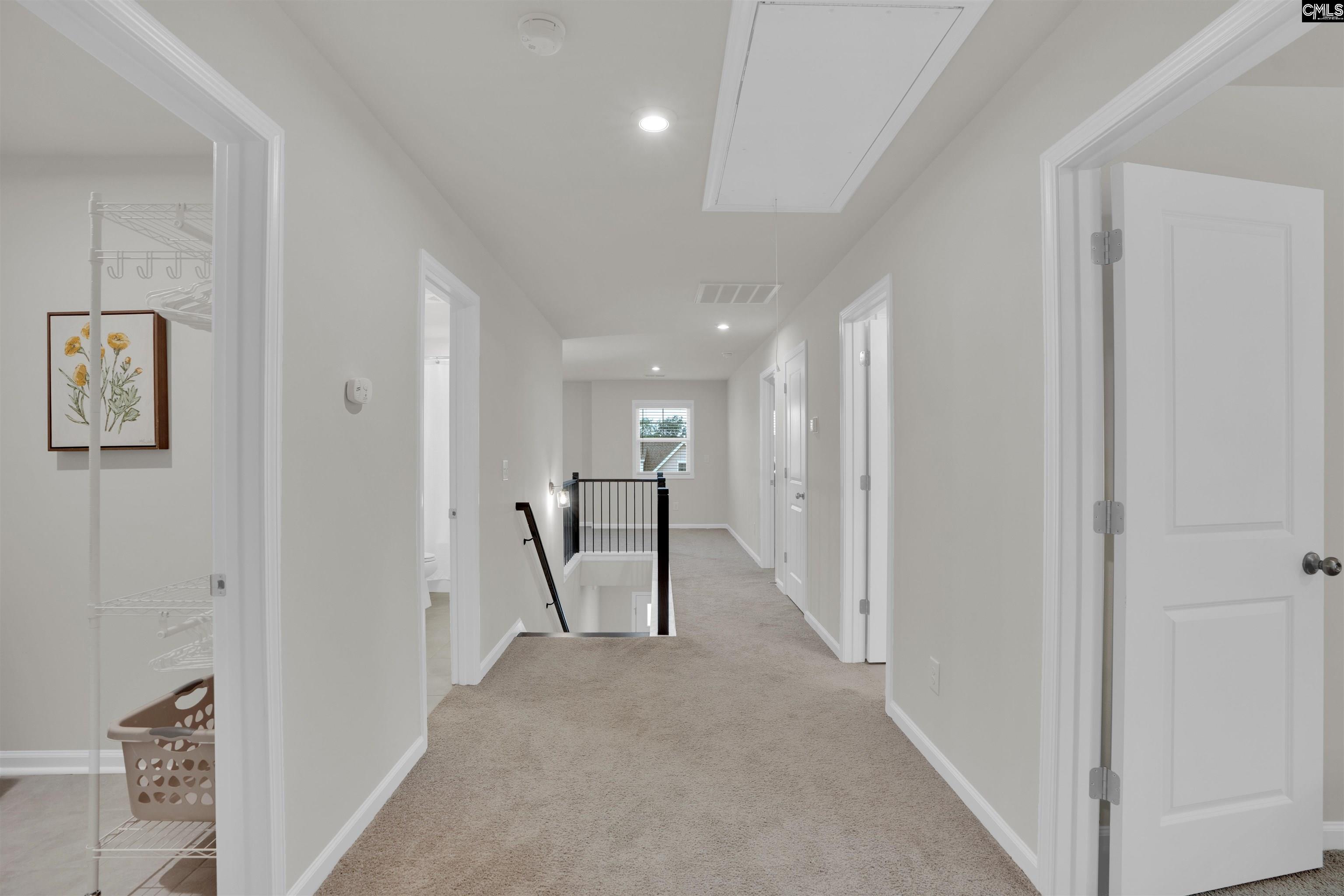 444 Dolomite Court, Chapin, South Carolina image 22
