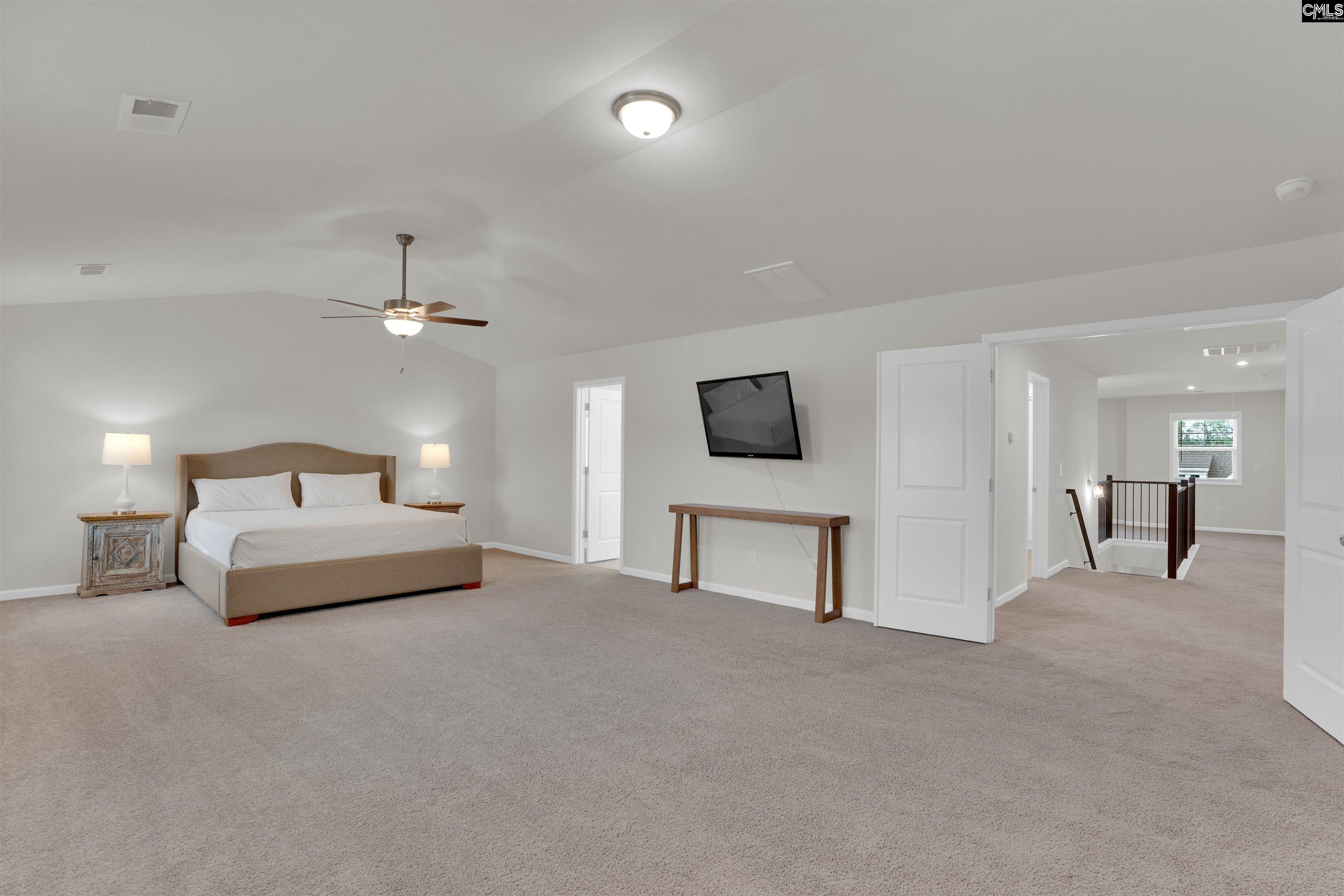 444 Dolomite Court, Chapin, South Carolina image 23
