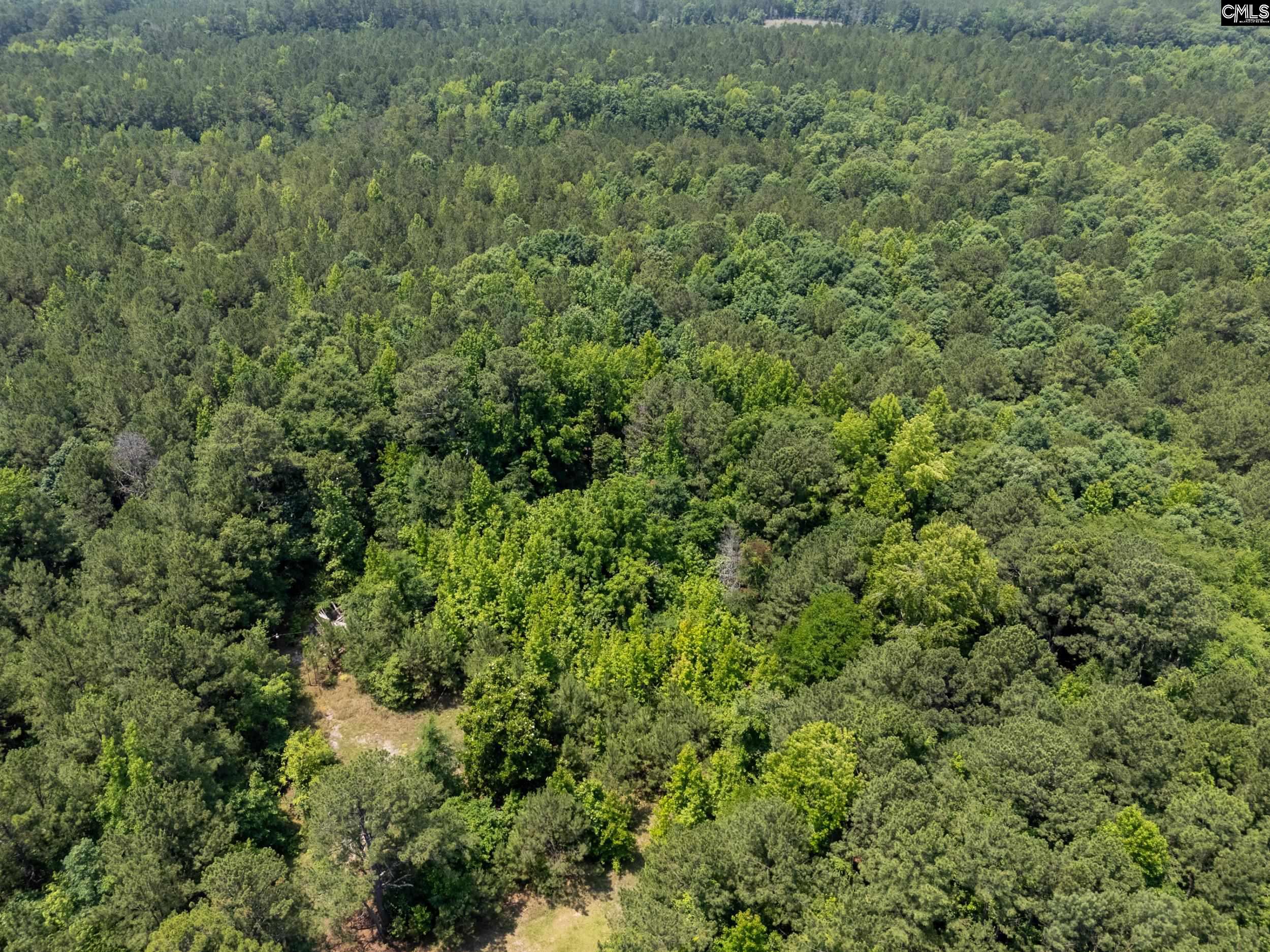 125 Crescent Drive, Winnsboro, South Carolina image 2