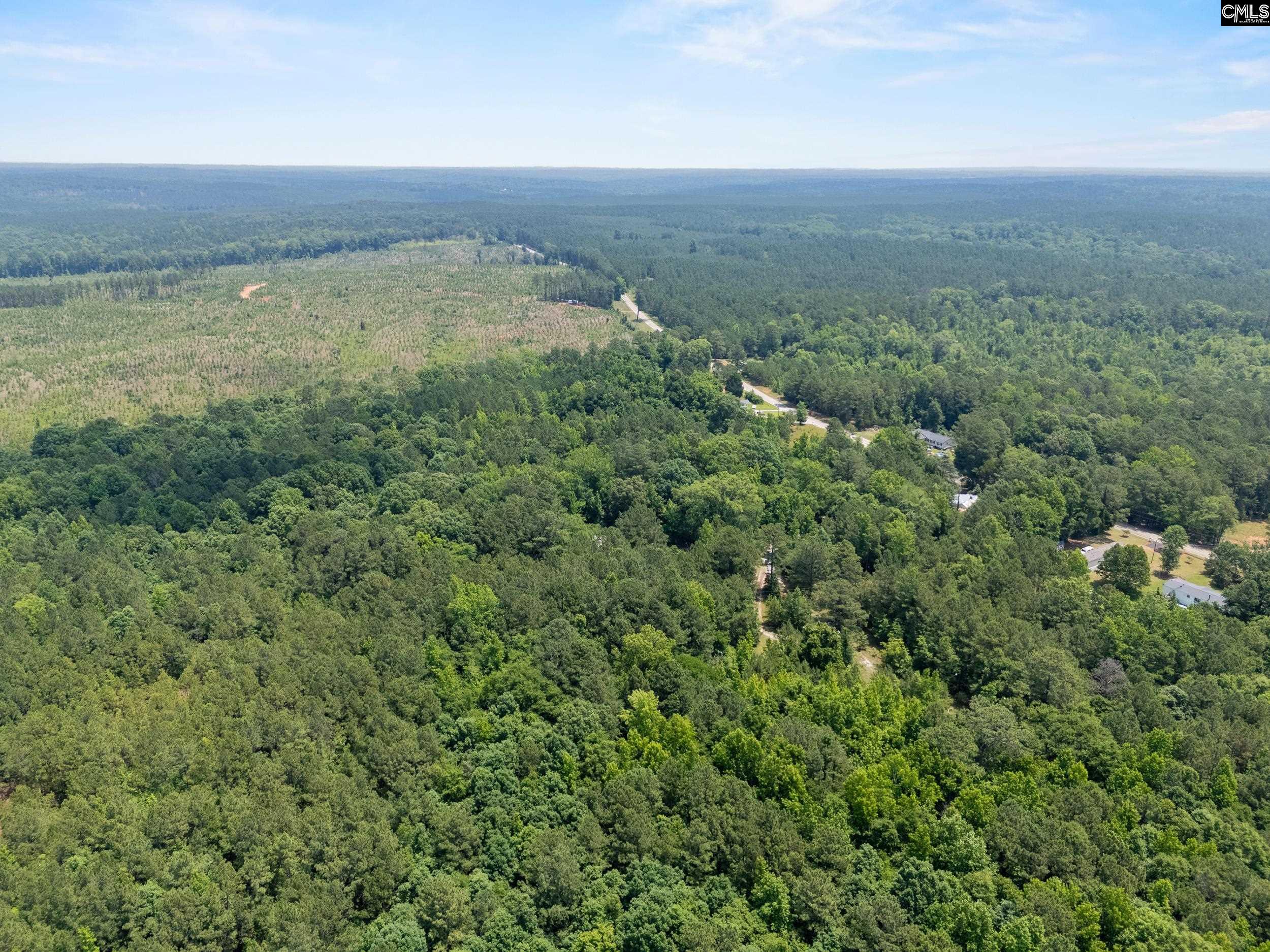 125 Crescent Drive, Winnsboro, South Carolina image 4