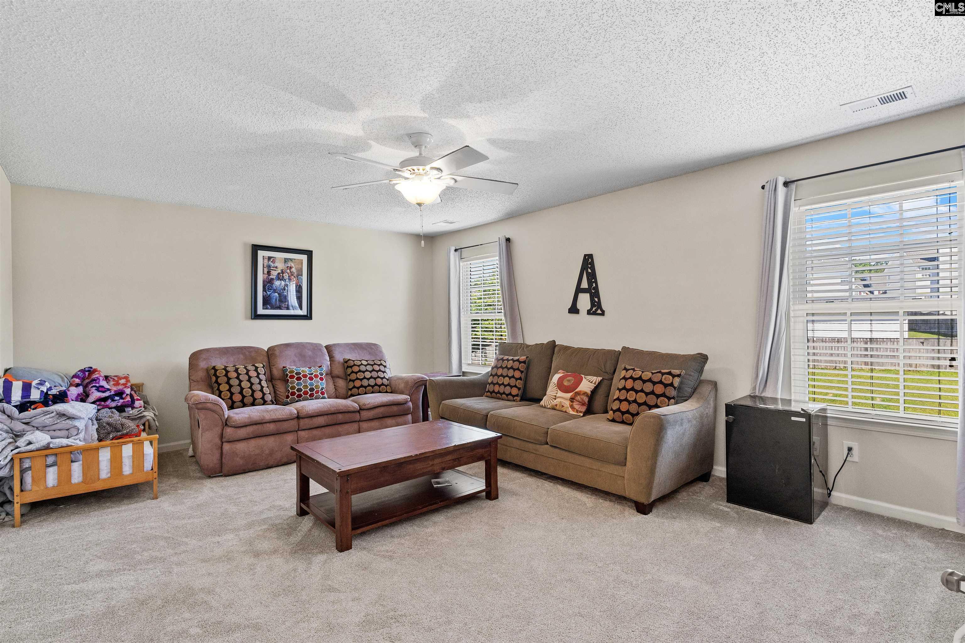 334 Buckthorne Drive, Lexington, South Carolina image 18