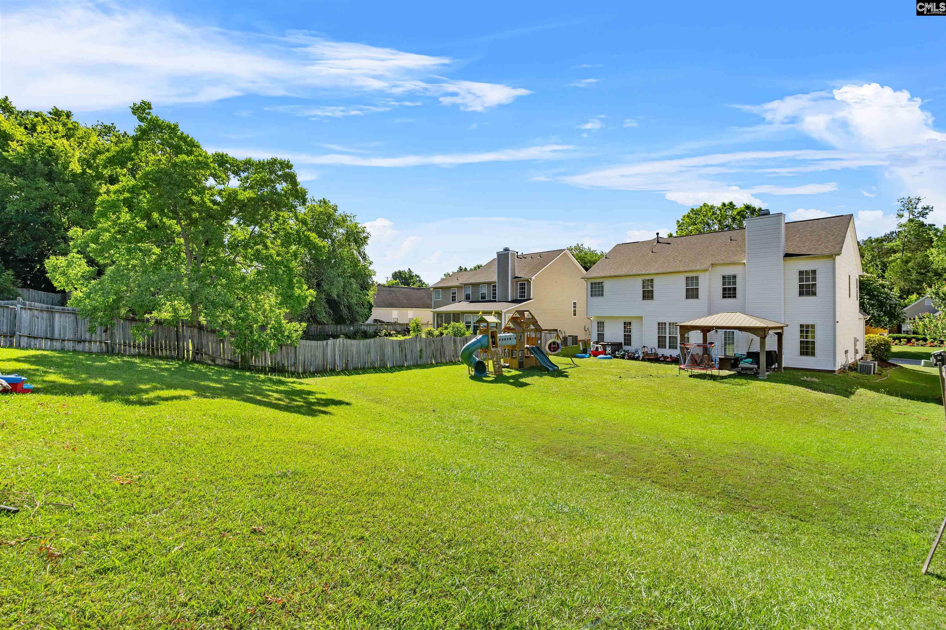 334 Buckthorne Drive, Lexington, South Carolina image 3